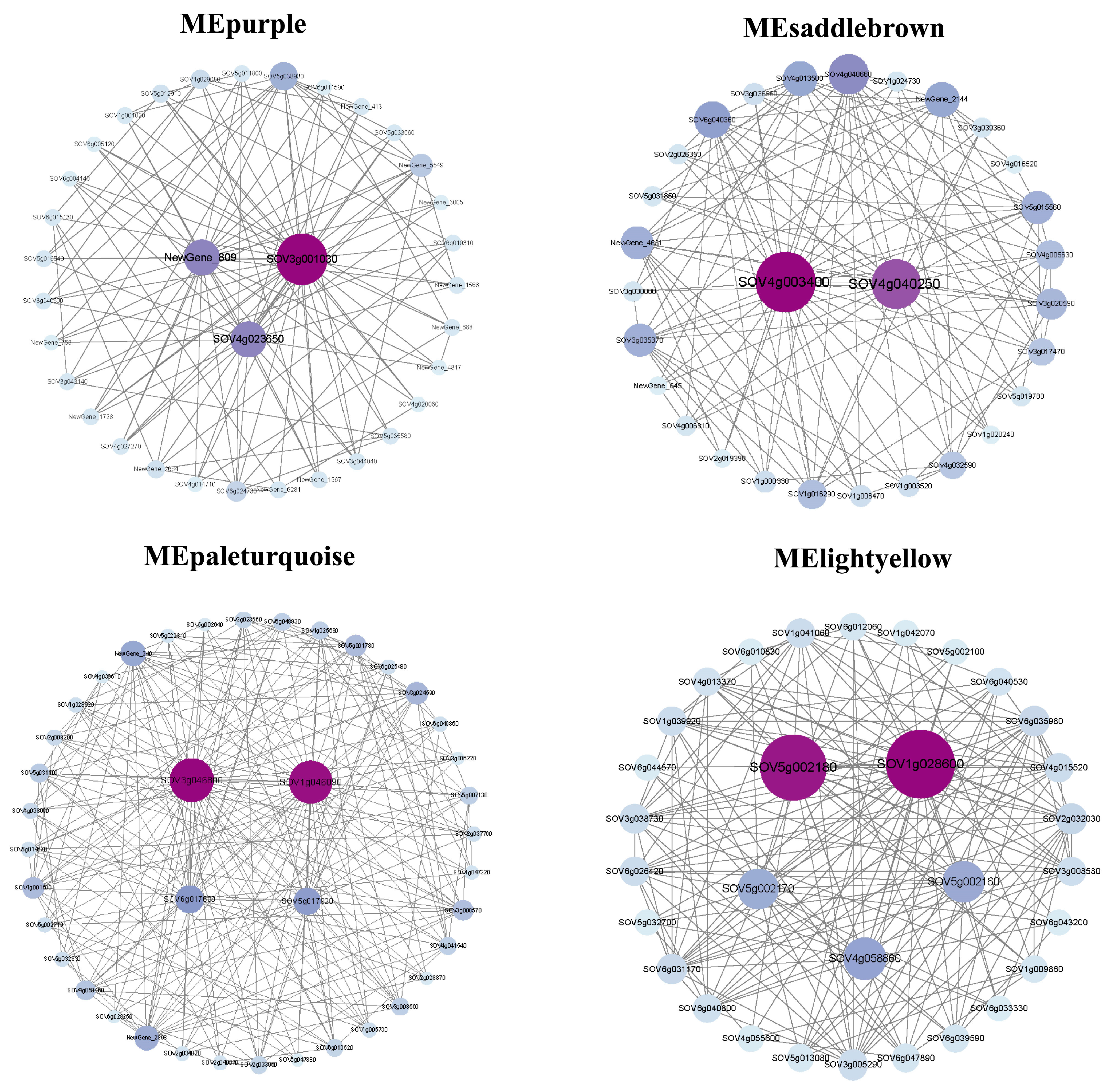 Genes 15 00036 g009 Genes 15 00036 g009