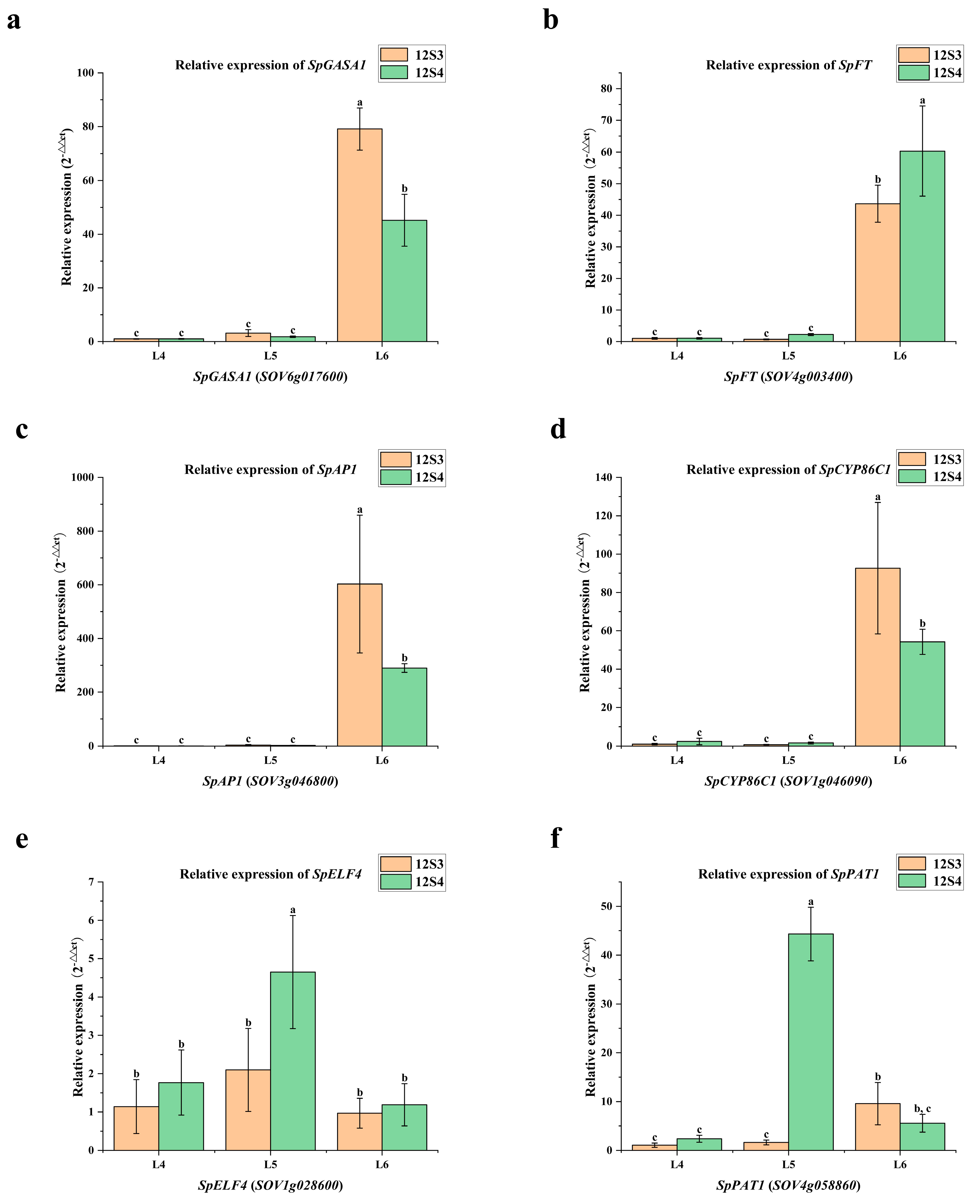 Genes 15 00036 g011 Genes 15 00036 g011