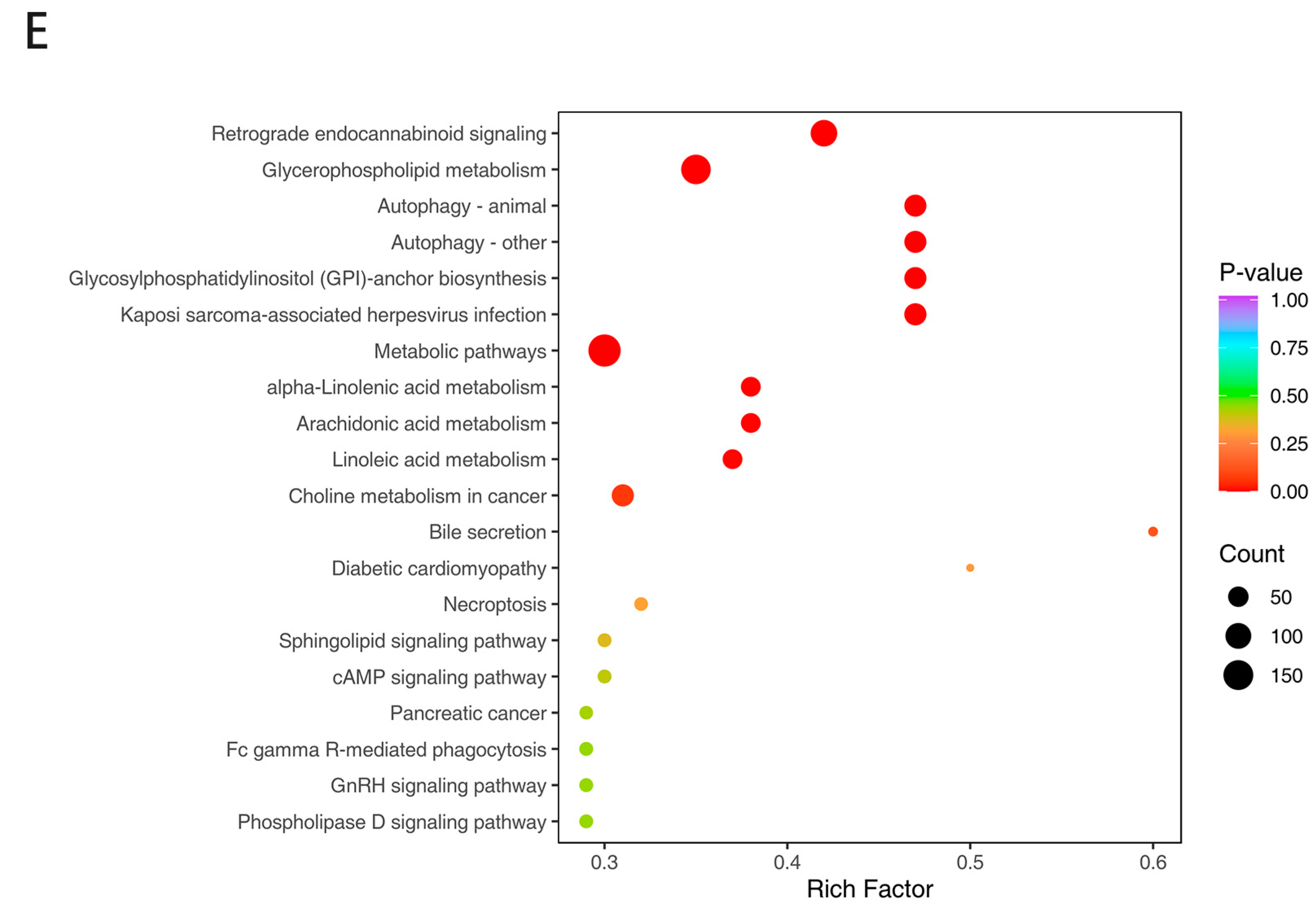 Genes 15 00043 g001b