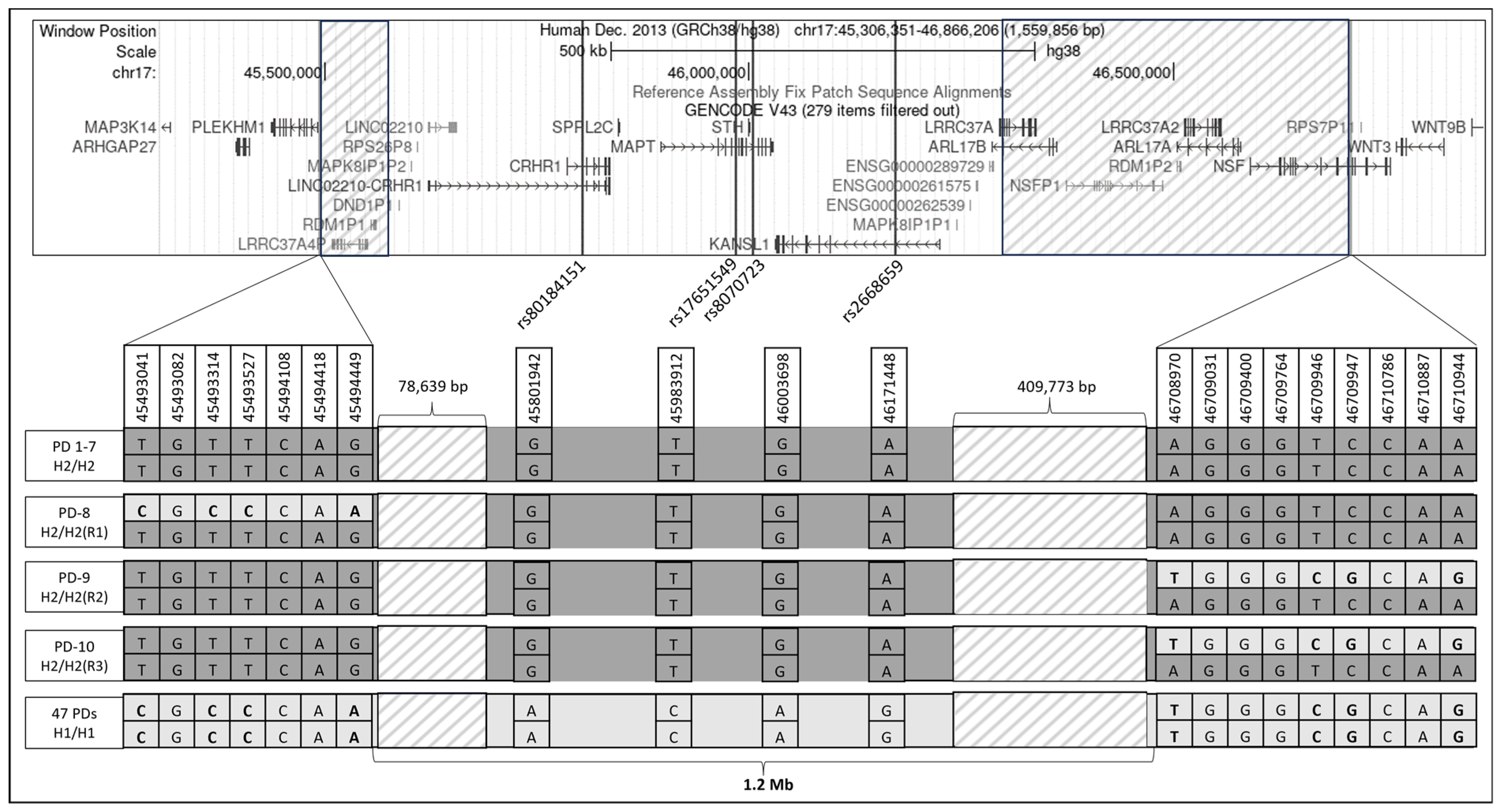 Genes 15 00046 g001