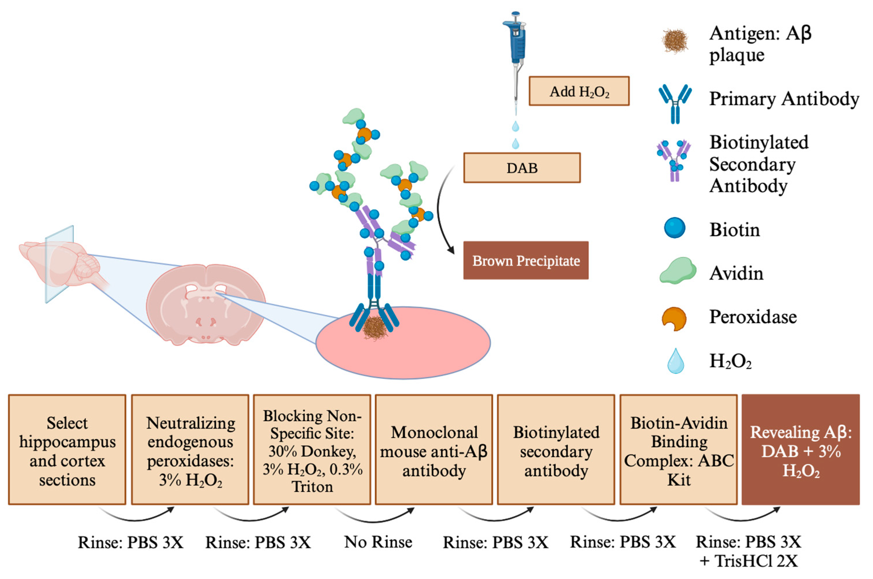 Genes 15 00047 g002