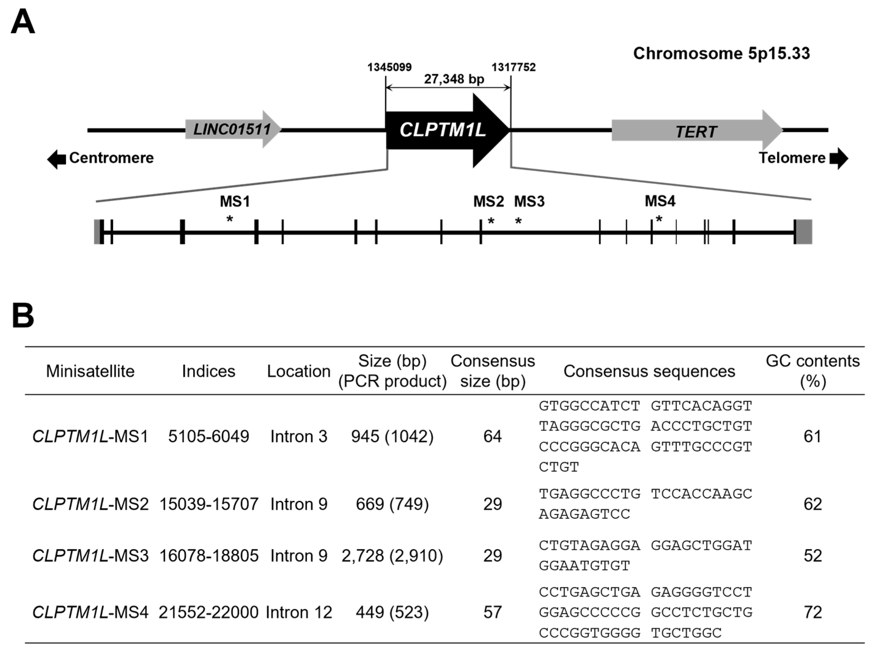 Genes 15 00050 g001