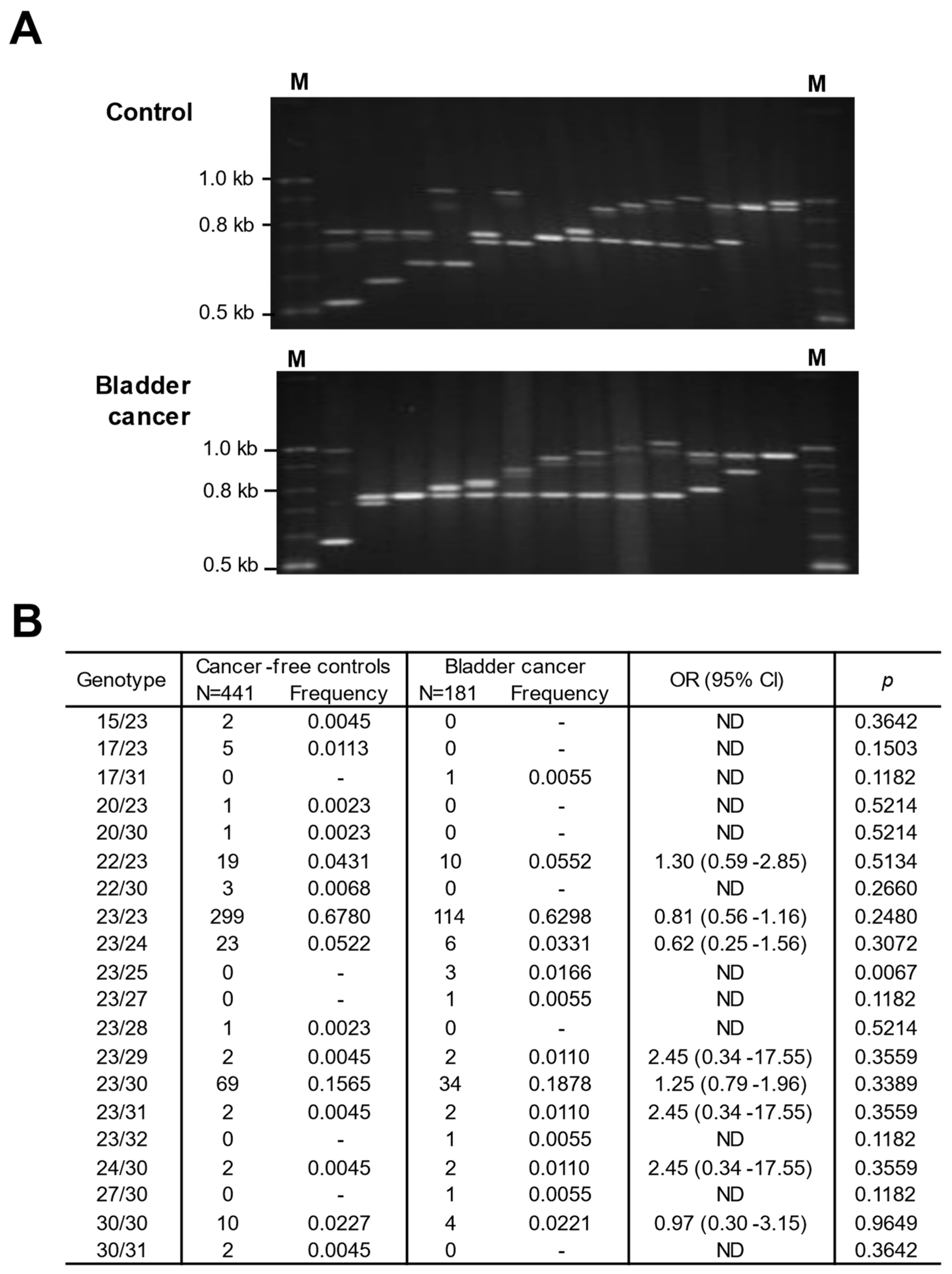 Genes 15 00050 g004