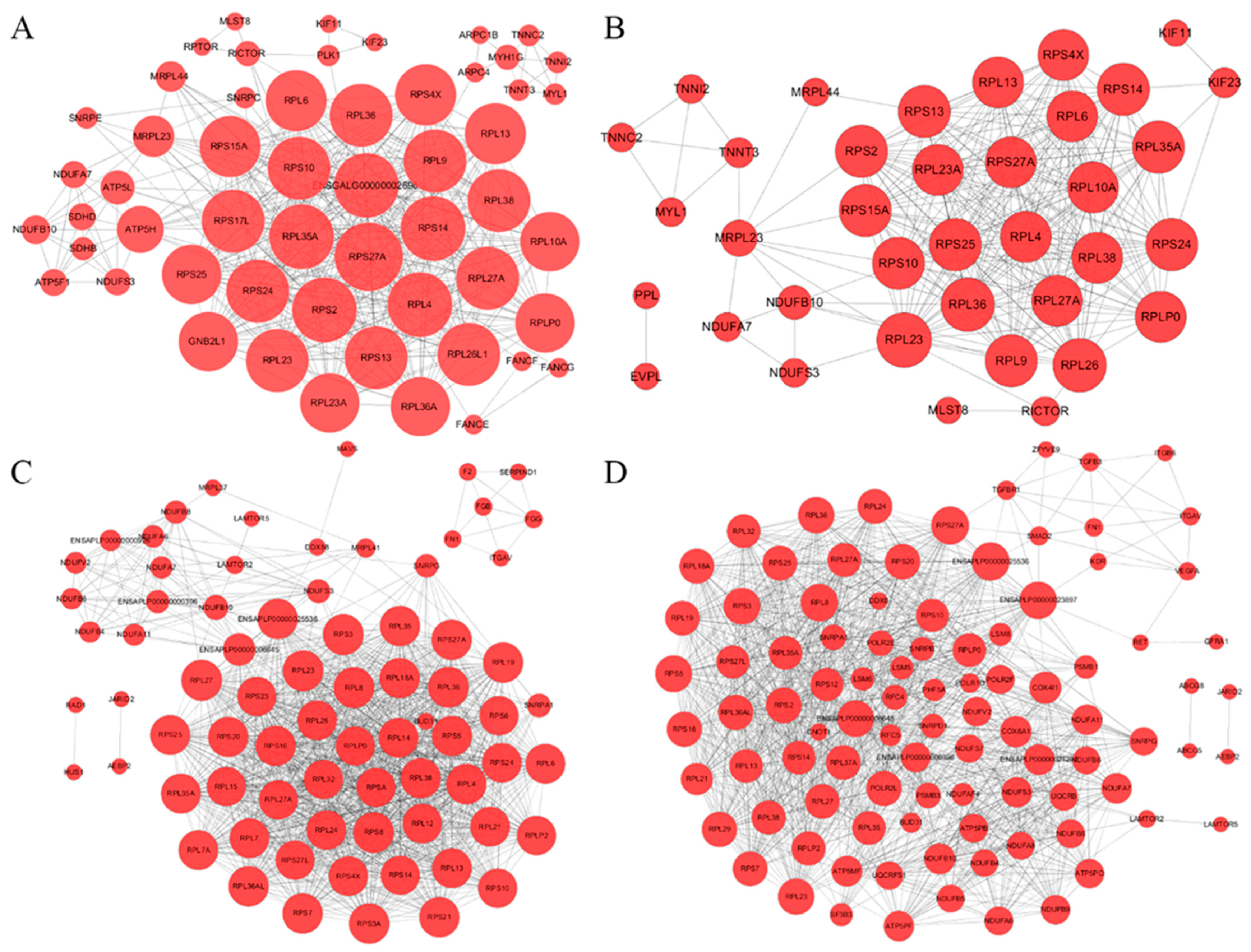 Genes 15 00052 g002 Genes 15 00052 g002