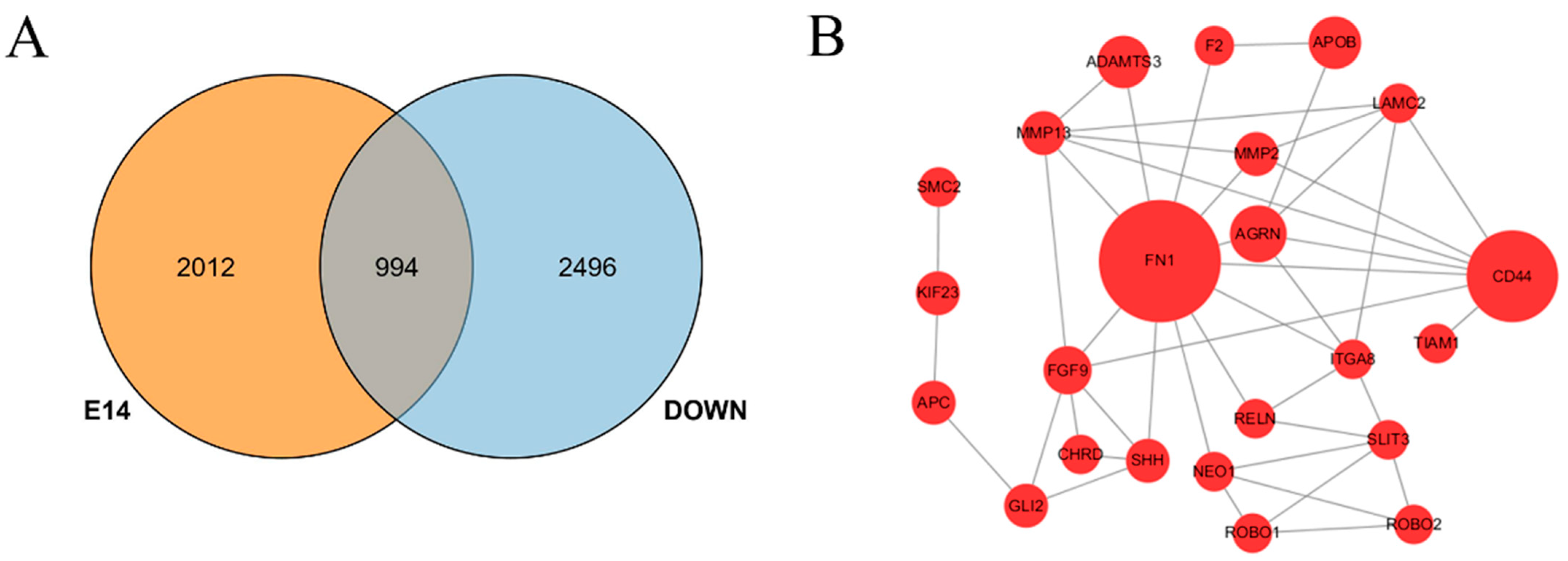 Genes 15 00052 g003 Genes 15 00052 g003