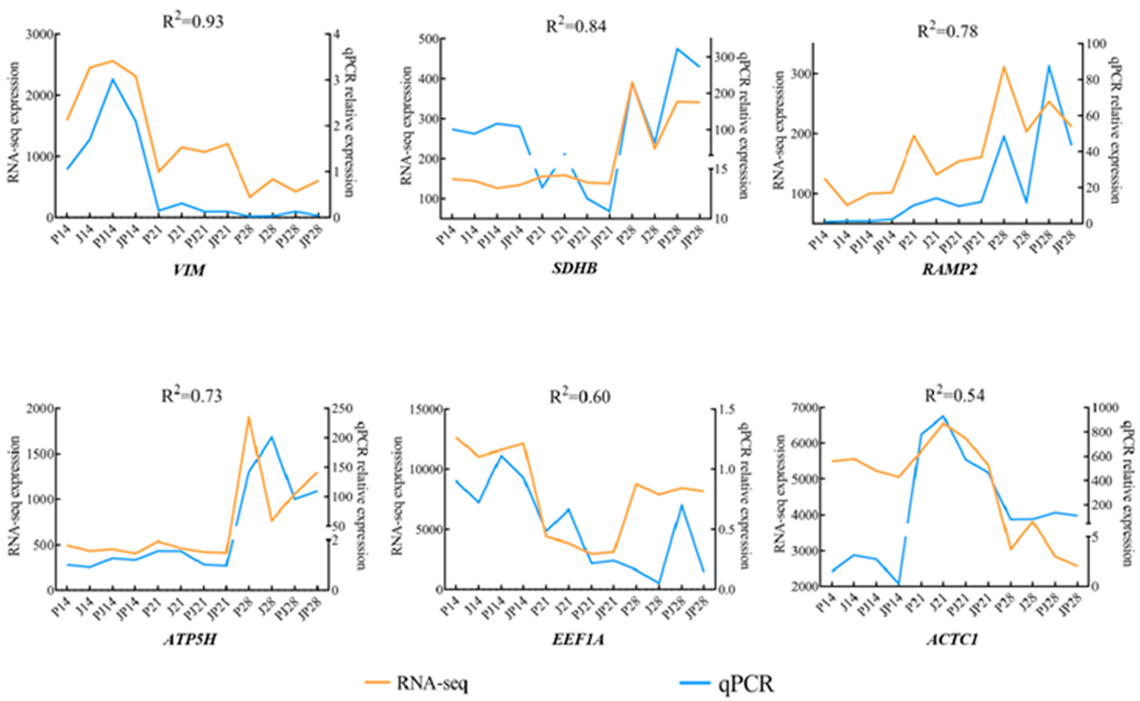 Genes 15 00052 g005 Genes 15 00052 g005