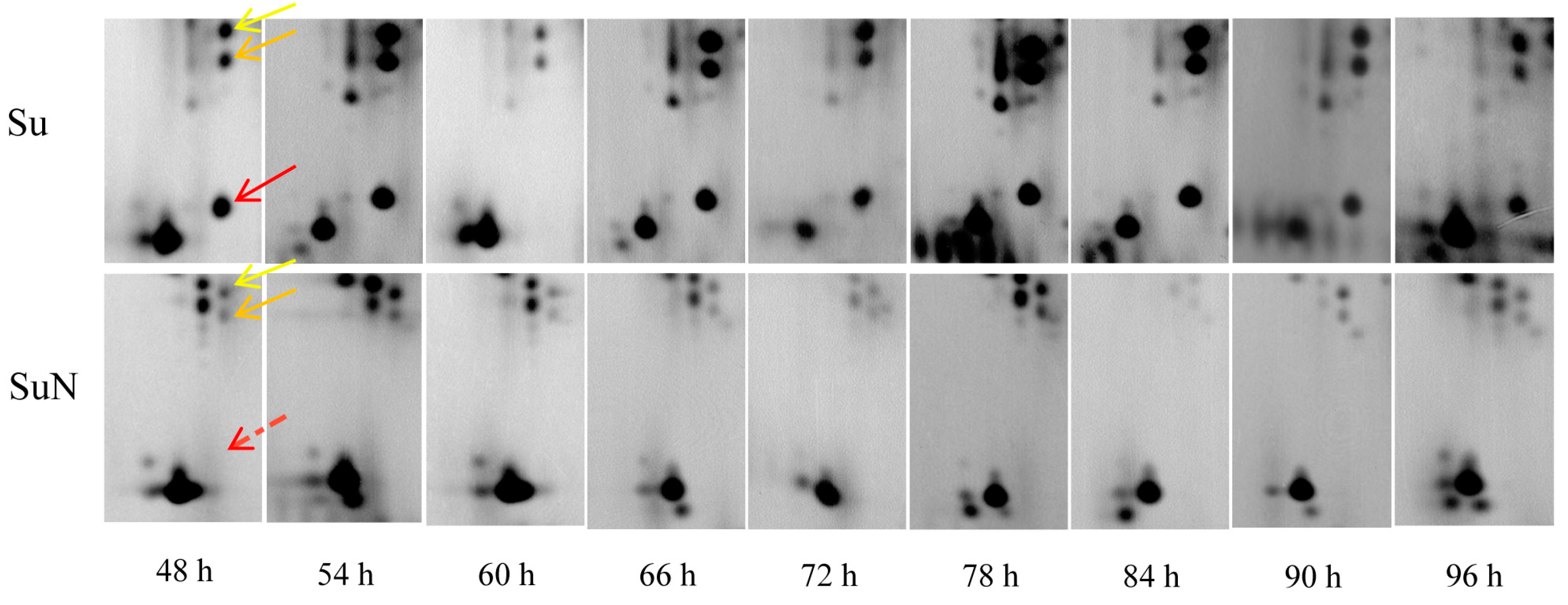 Genes 15 00059 g004 Genes 15 00059 g004