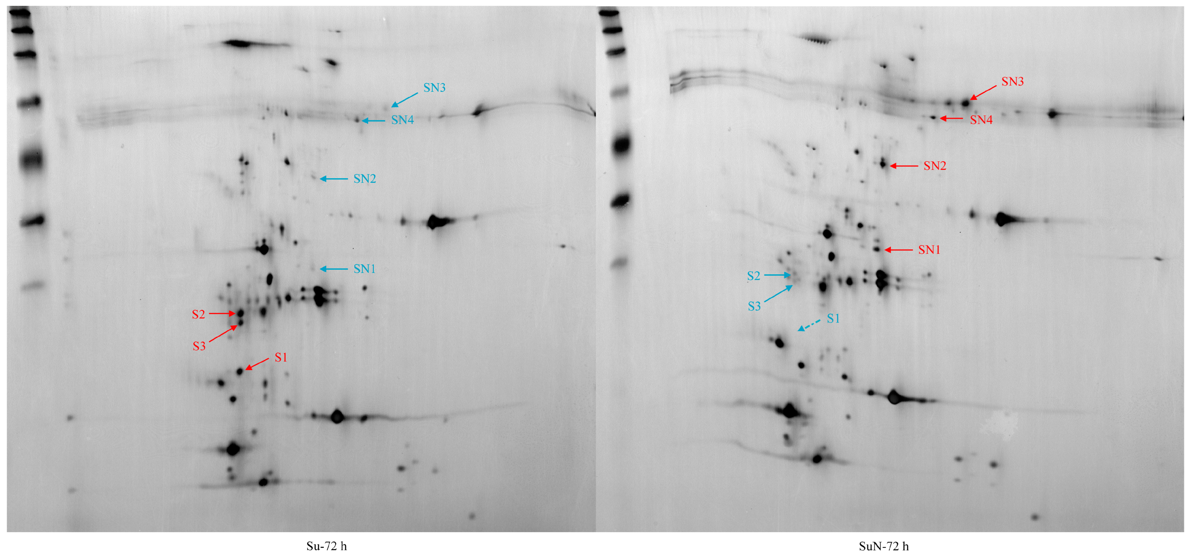 Genes 15 00059 g006 Genes 15 00059 g006