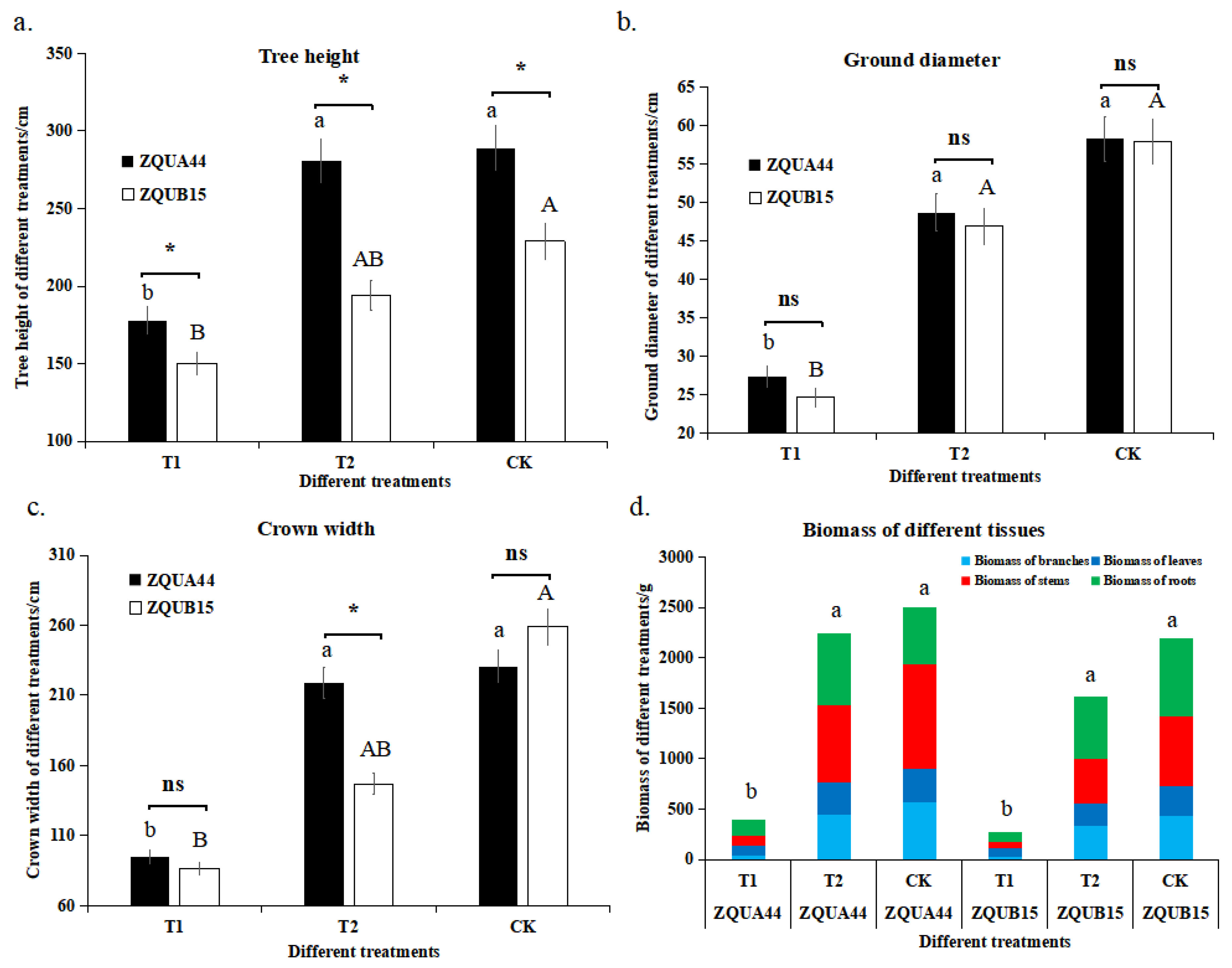 Genes 15 00060 g001