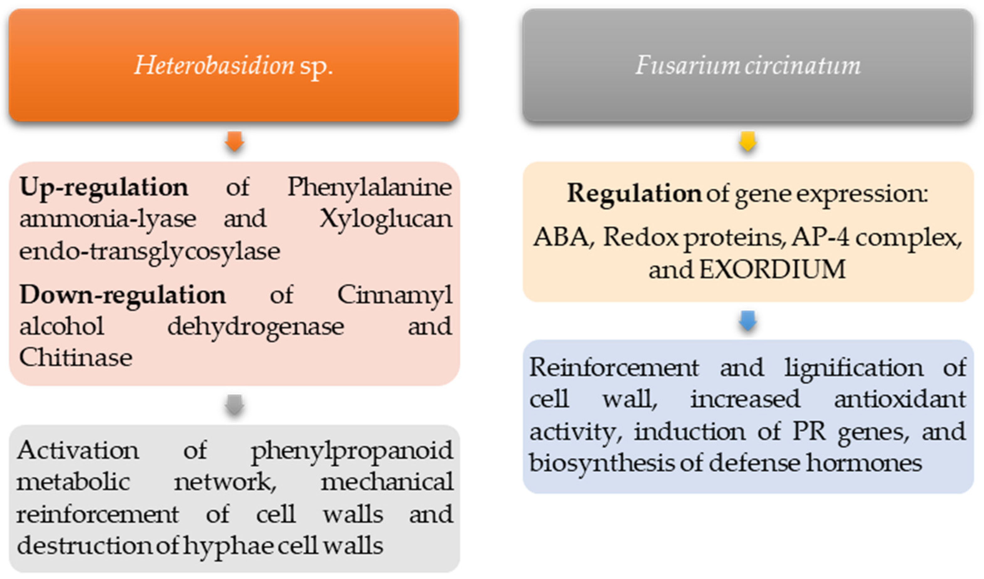 Genes 15 00084 g003 Genes 15 00084 g003