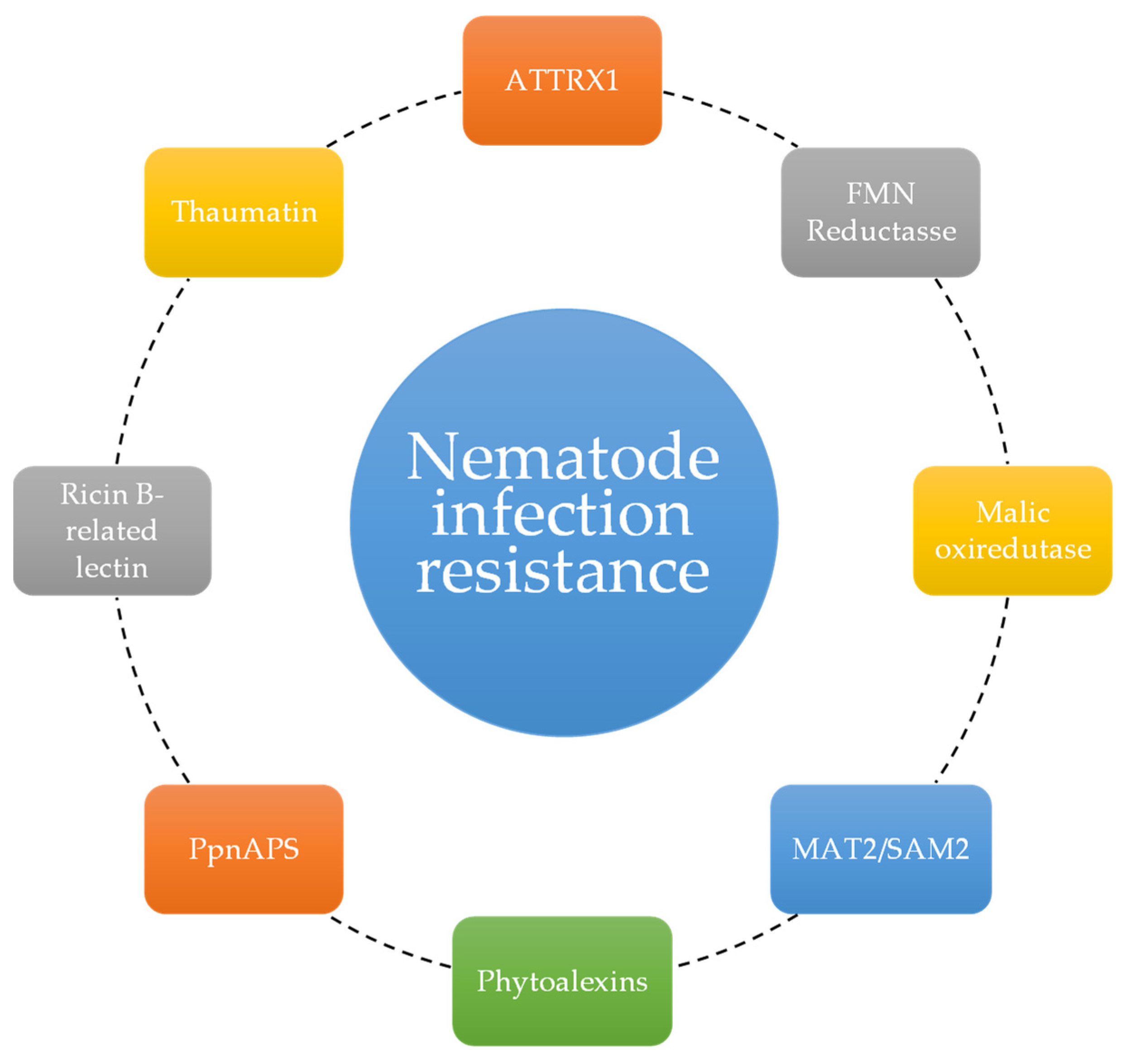 Genes 15 00084 g004 Genes 15 00084 g004