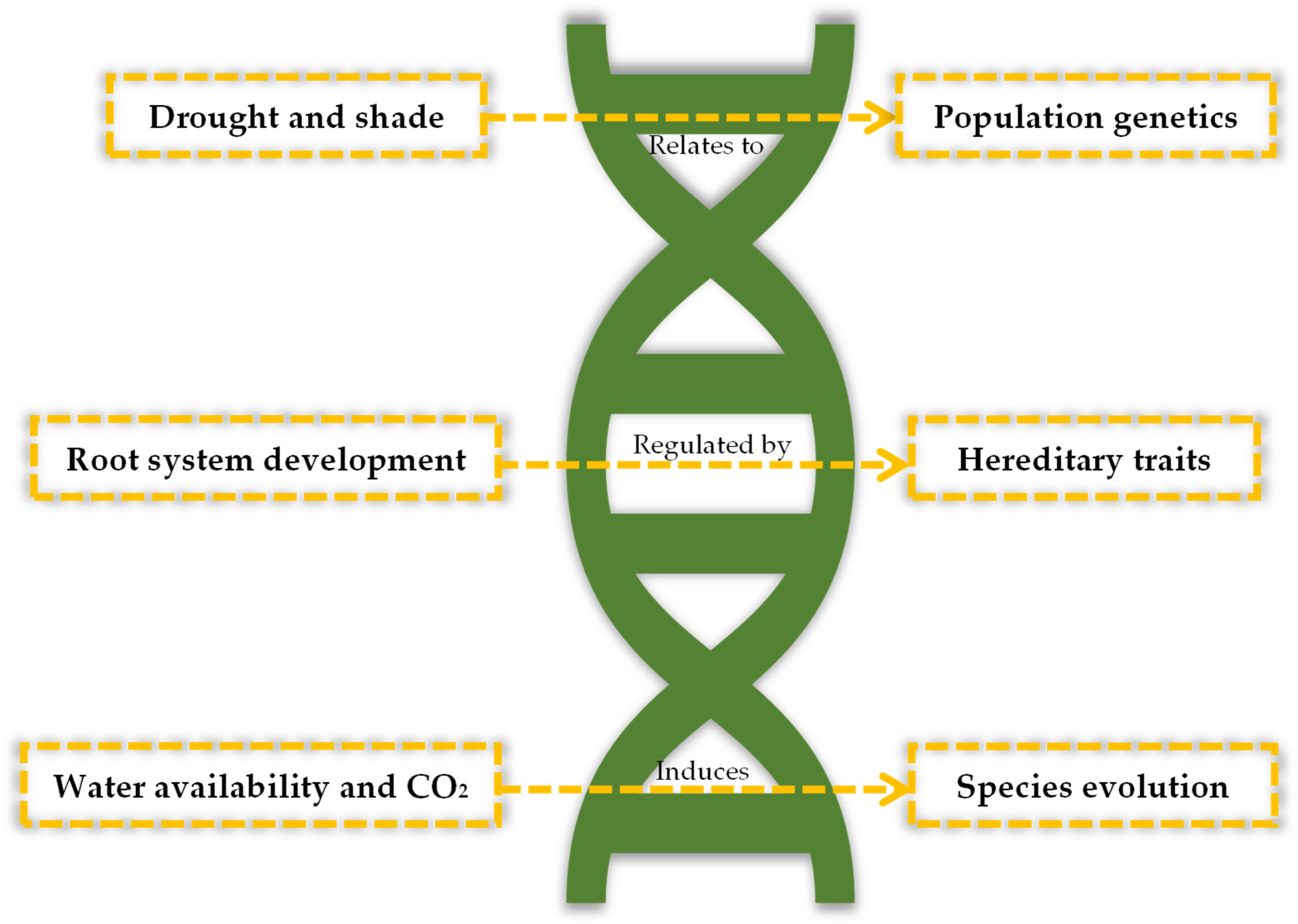 Genes 15 00084 g005 Genes 15 00084 g005