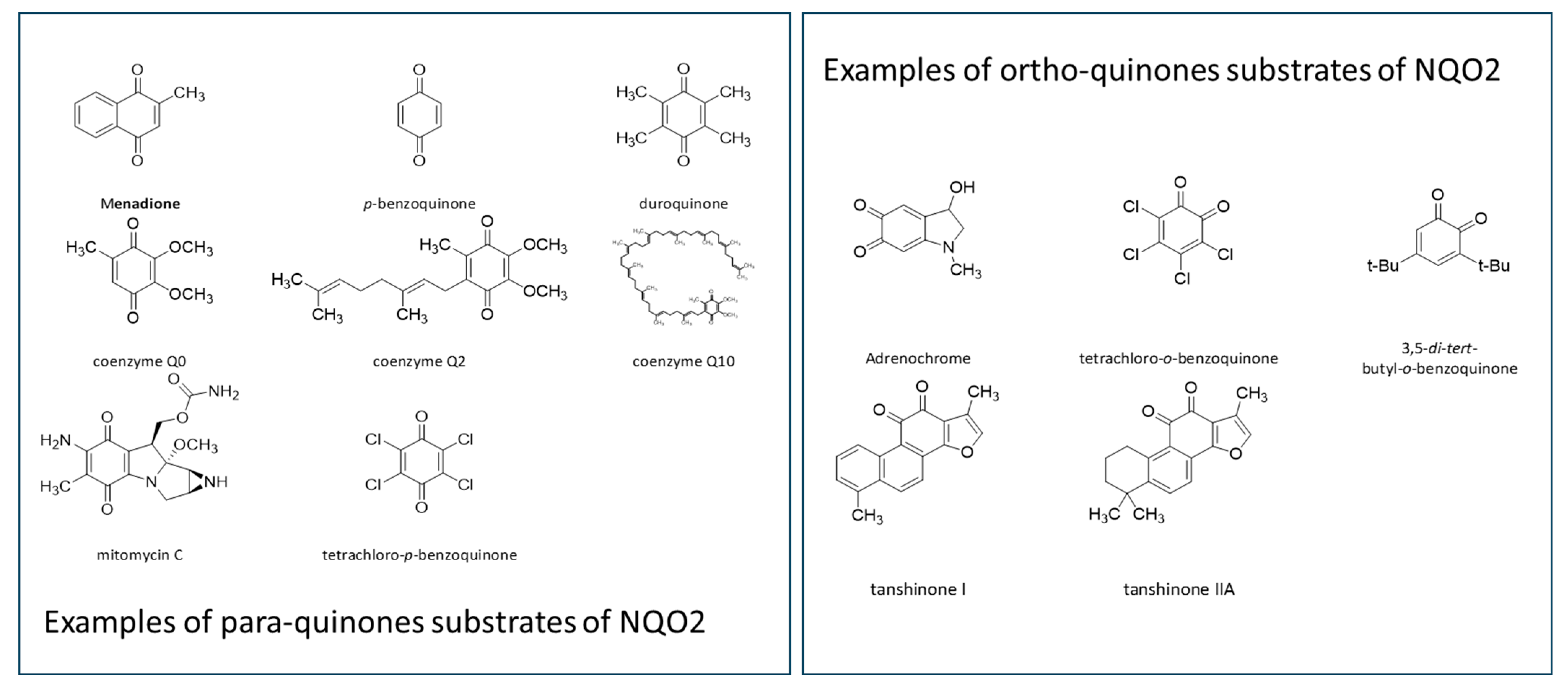 Genes 15 00087 g002