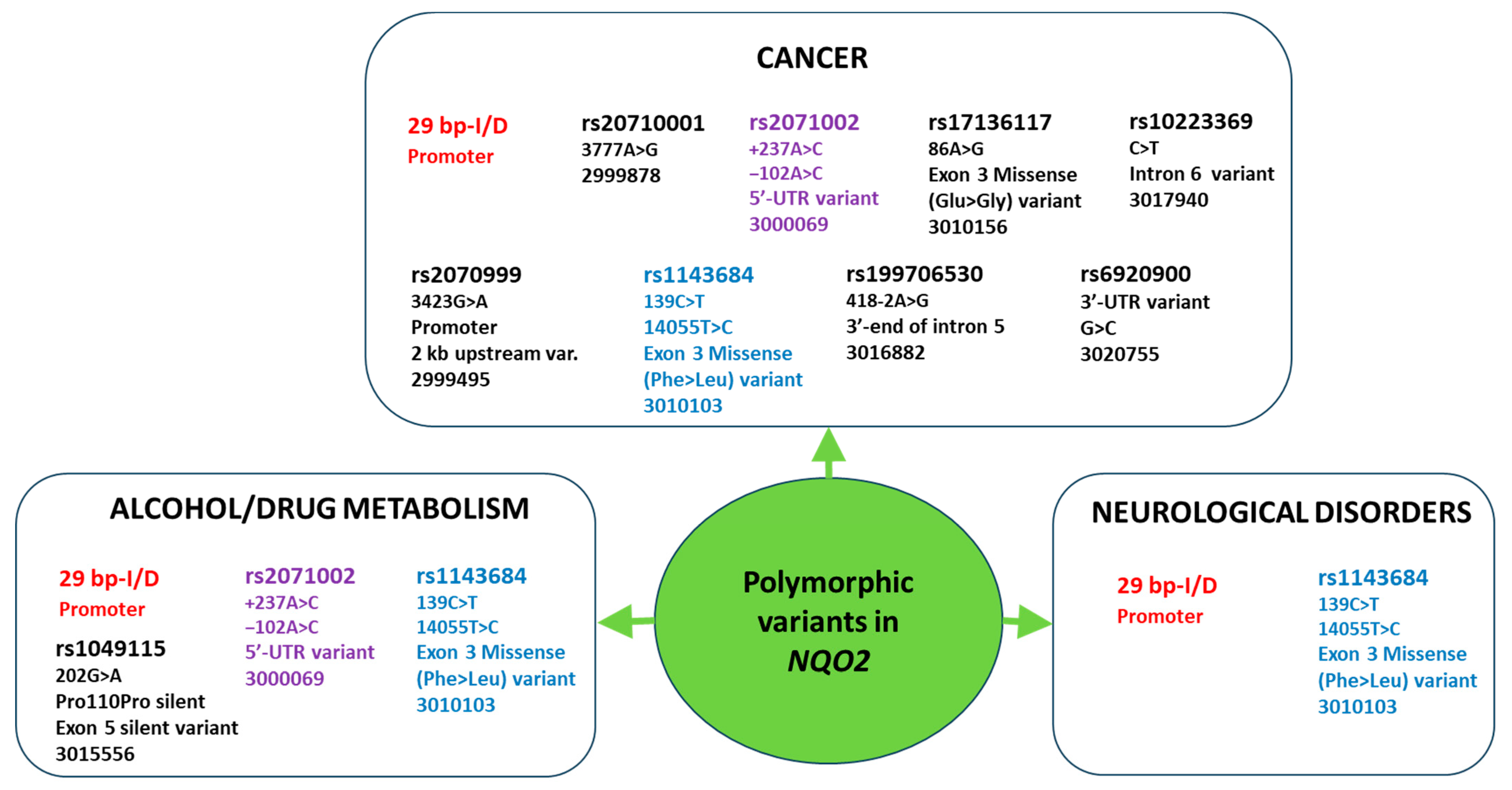 Genes 15 00087 g003
