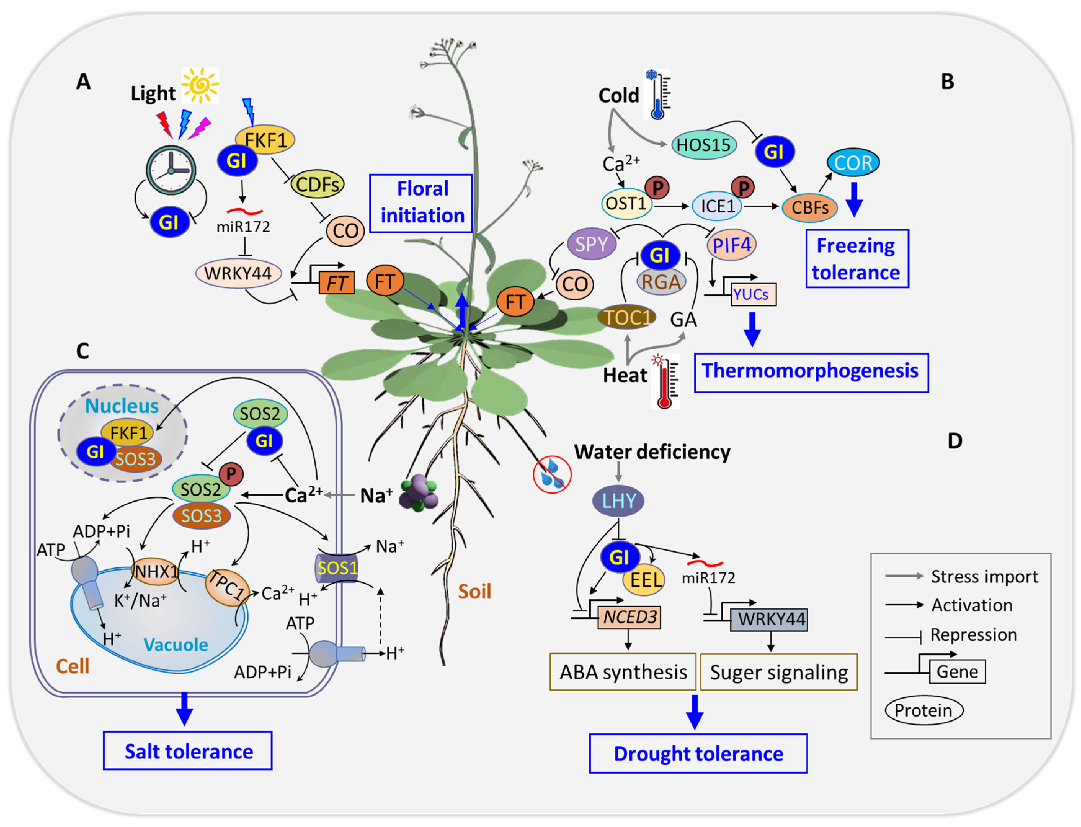 Genes 15 00094 g002