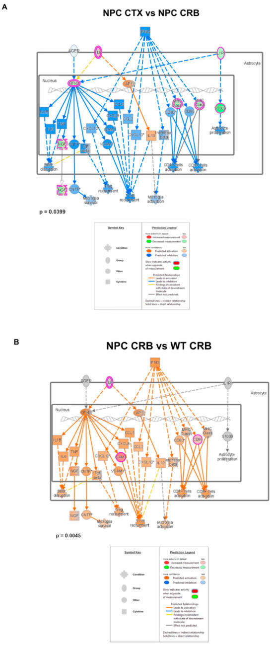 Genes 15 00101 g0a2a