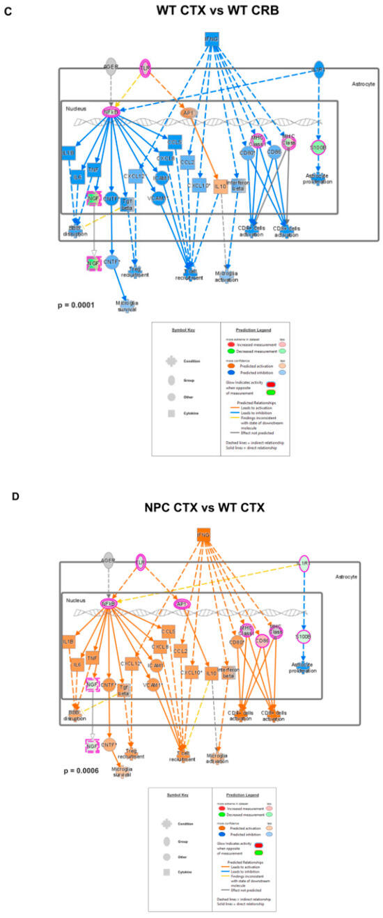 Genes 15 00101 g0a2b