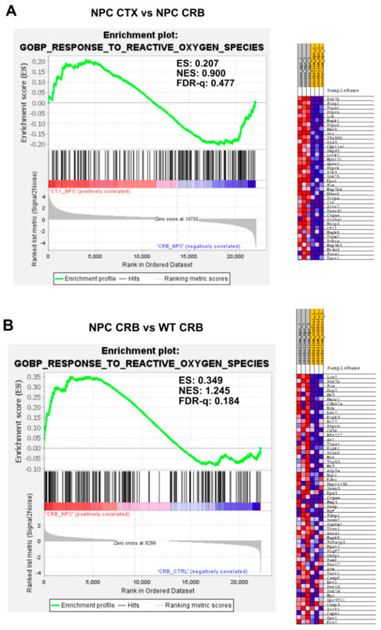 Genes 15 00101 g0a5a