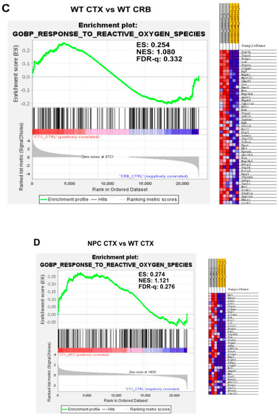 Genes 15 00101 g0a5b