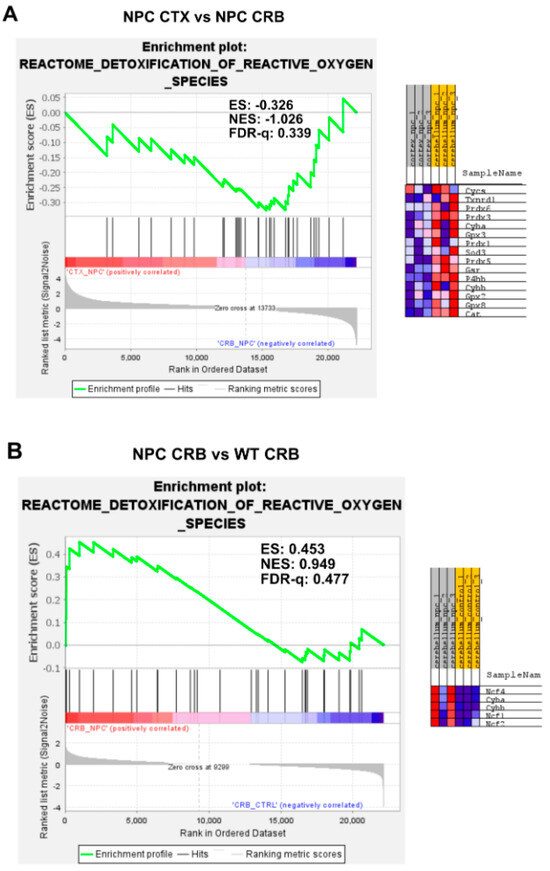 Genes 15 00101 g0a6a