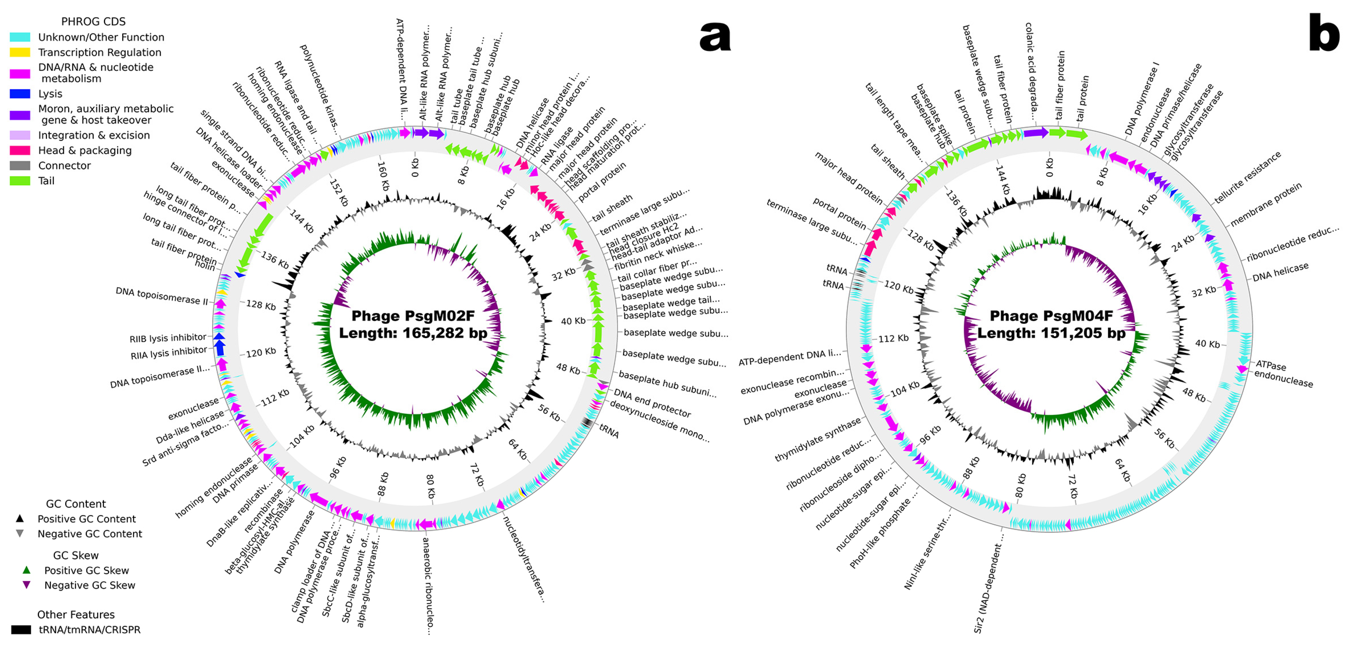 Genes 15 00113 g002