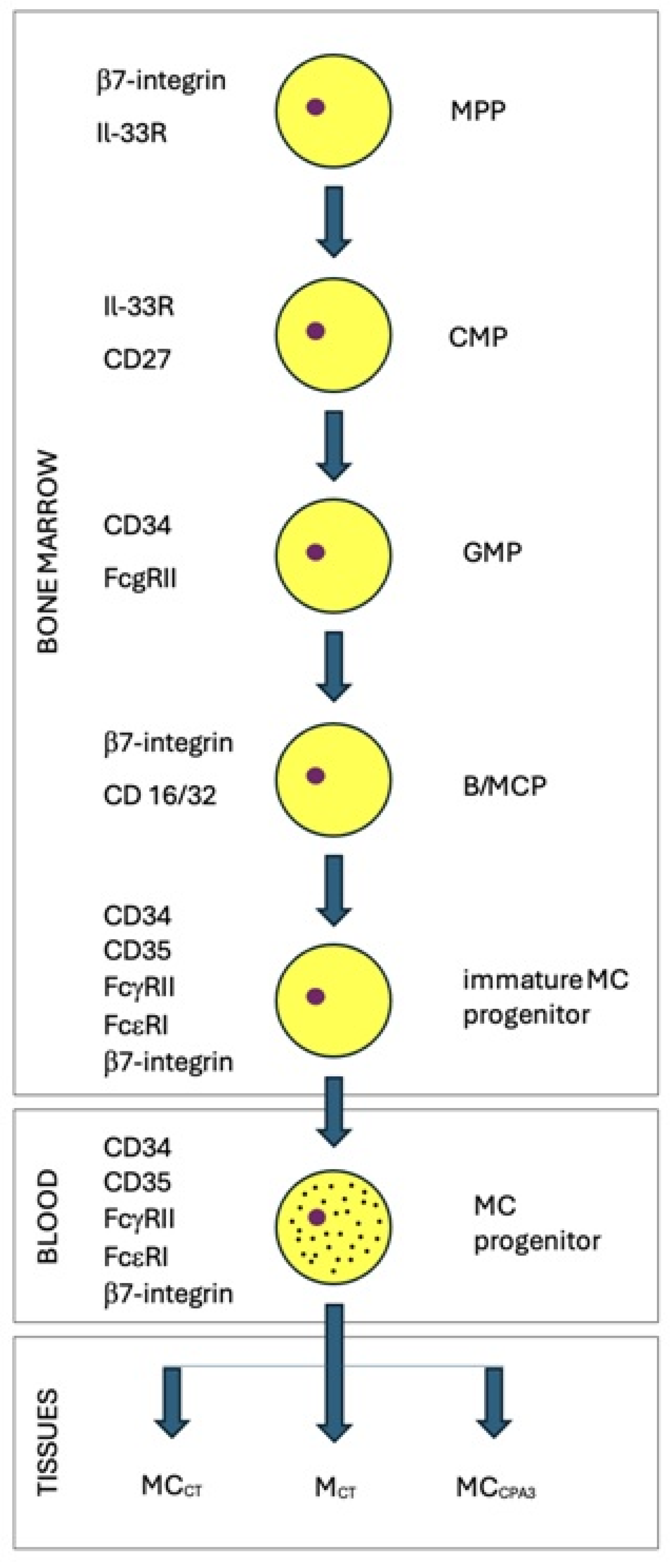 Genes 15 00137 g001
