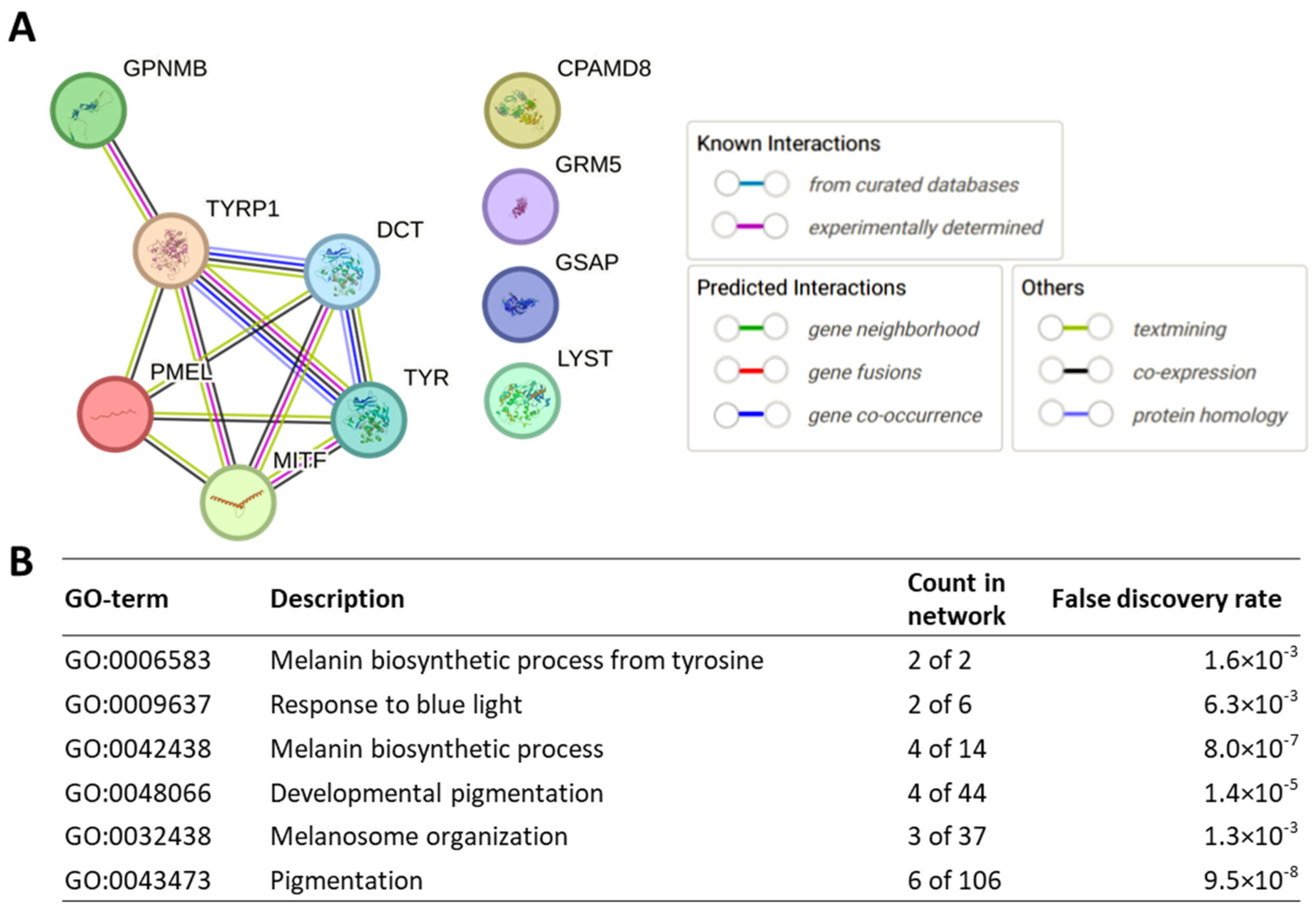 Genes 15 00142 g002 Genes 15 00142 g002
