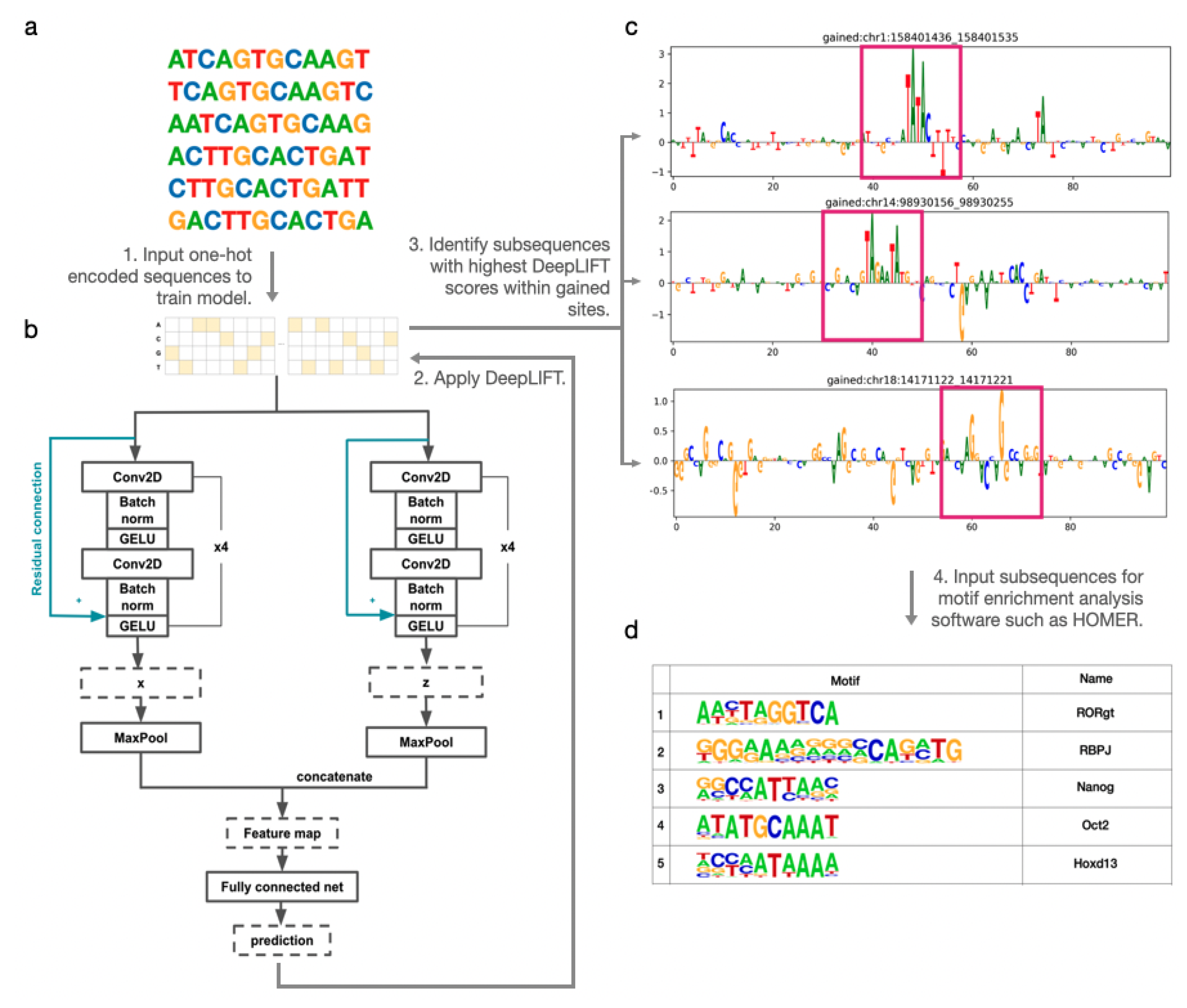 Genes 15 00144 g001