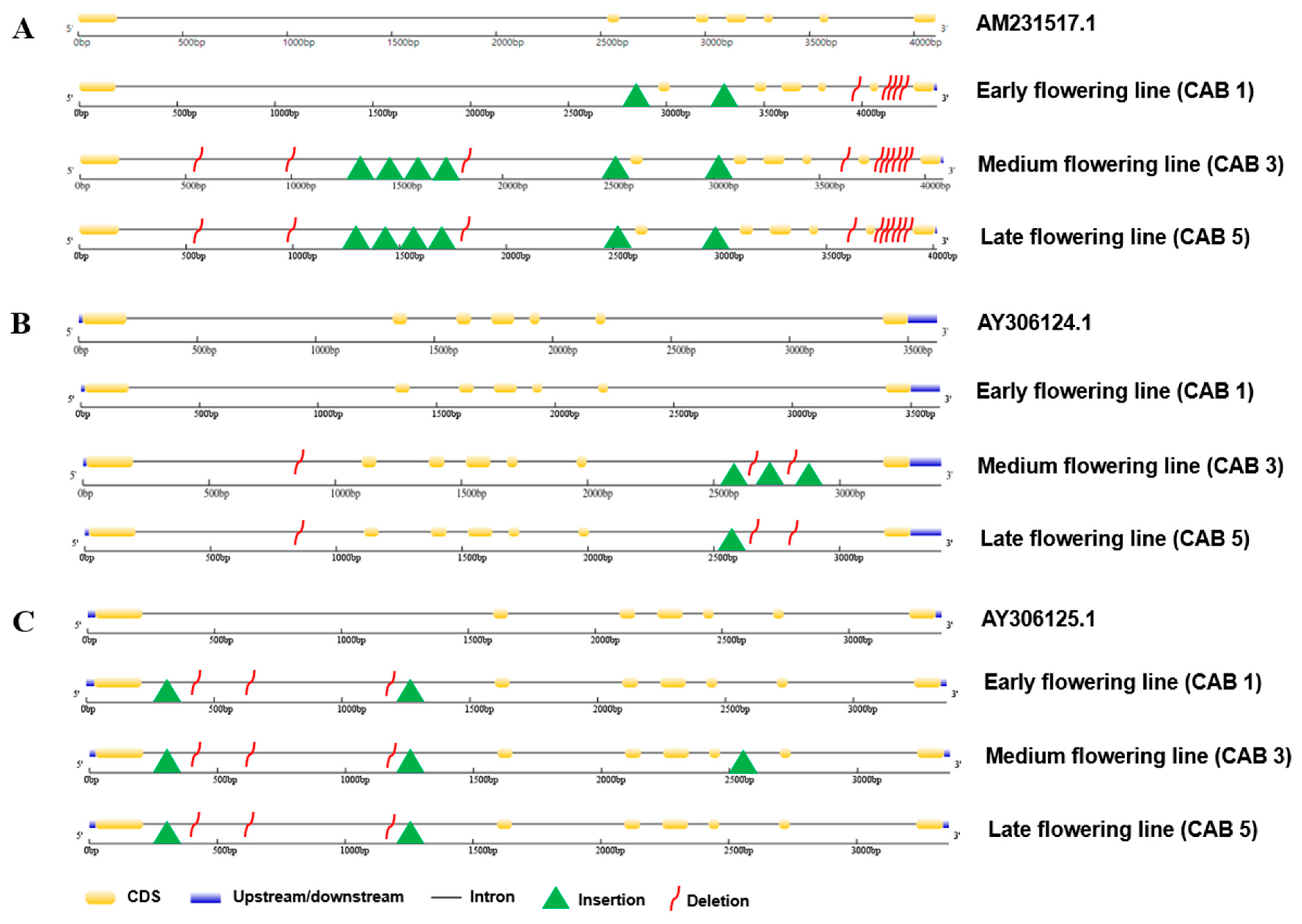 Genes 15 00154 g001 Genes 15 00154 g001