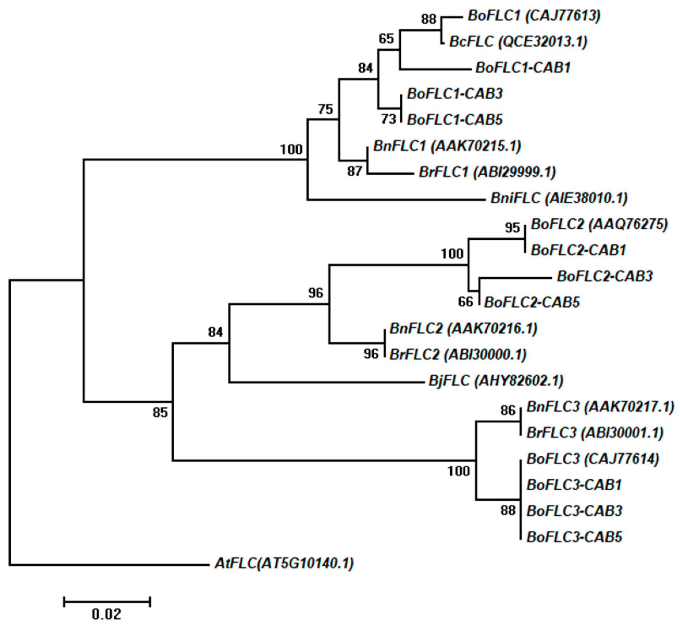 Genes 15 00154 g002 Genes 15 00154 g002
