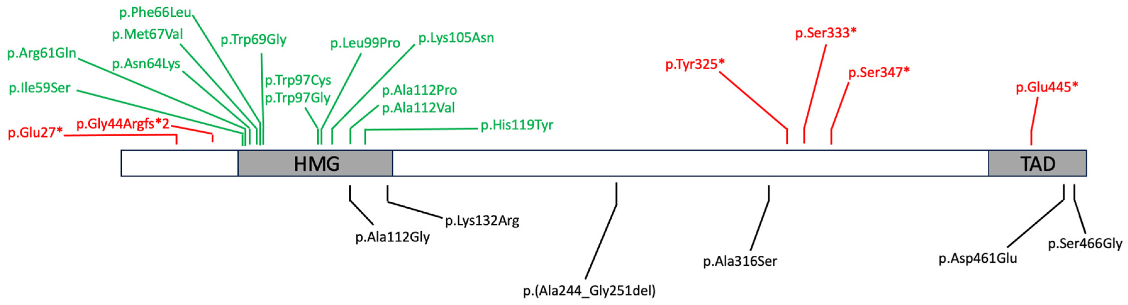 Genes 15 00158 g001