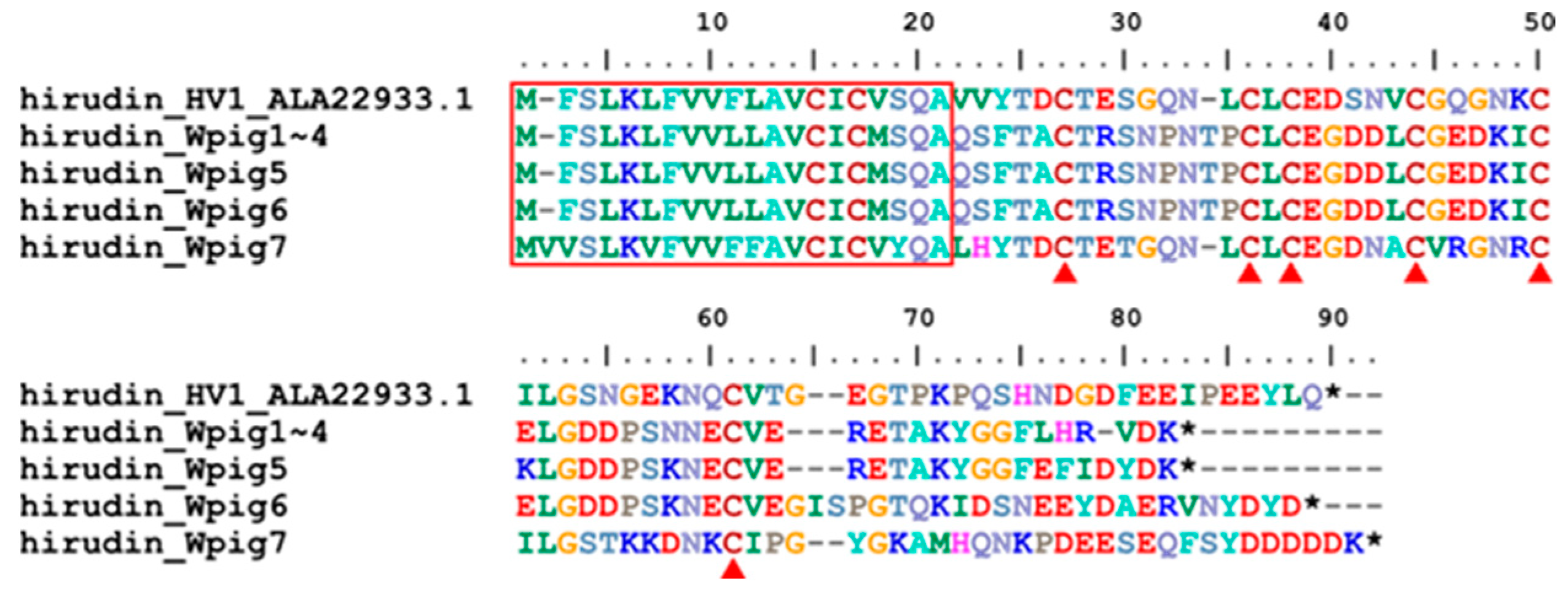 Genes 15 00164 g002