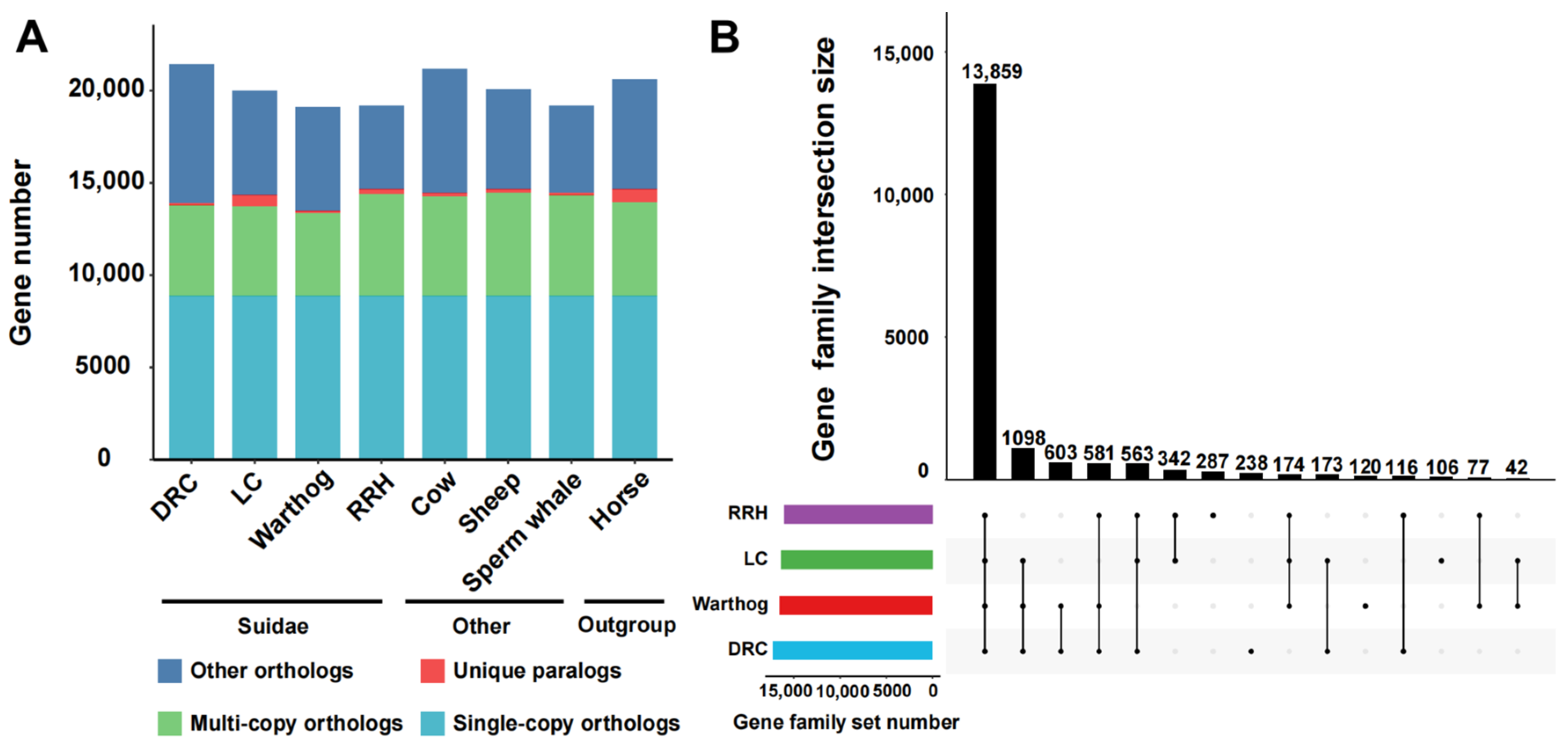Genes 15 00166 g001