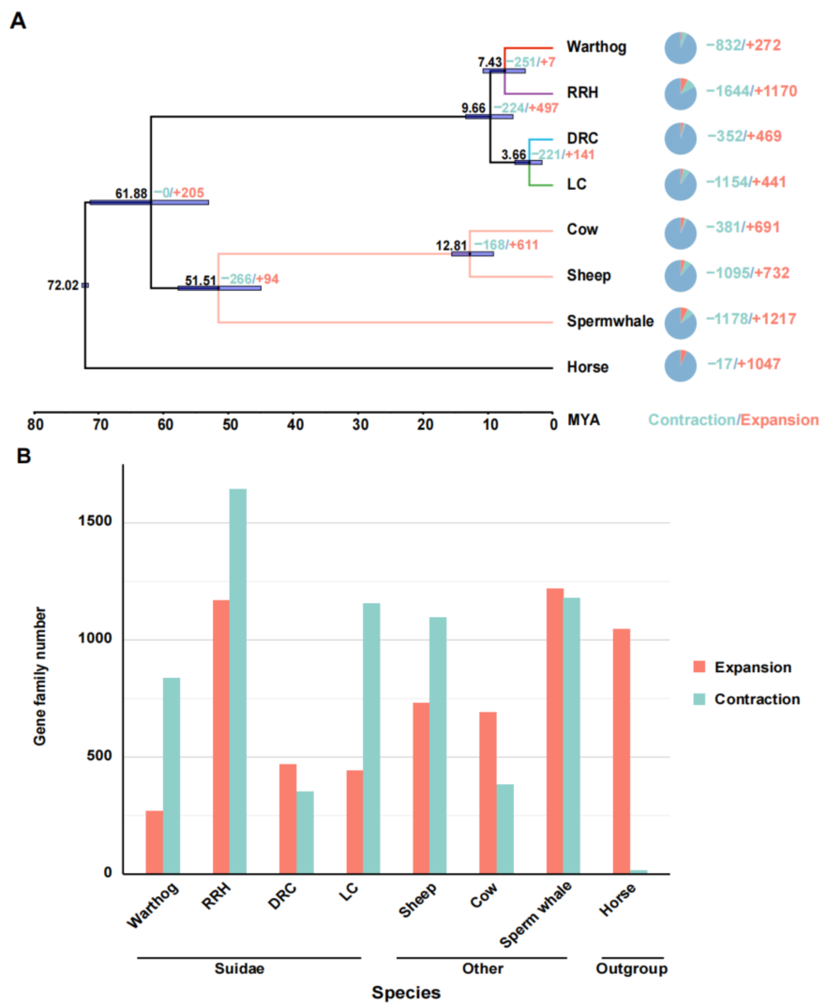 Genes 15 00166 g002