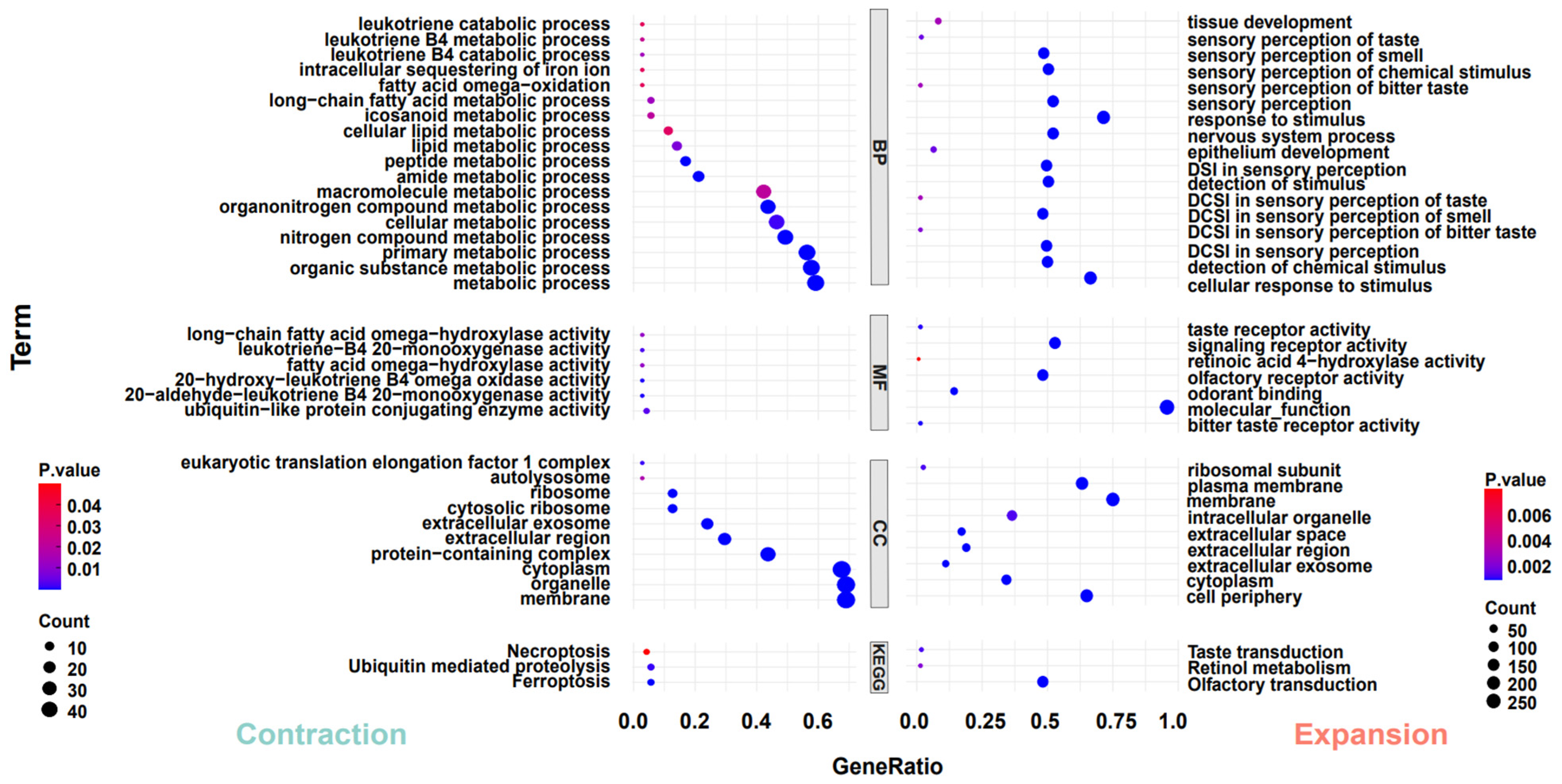Genes 15 00166 g003