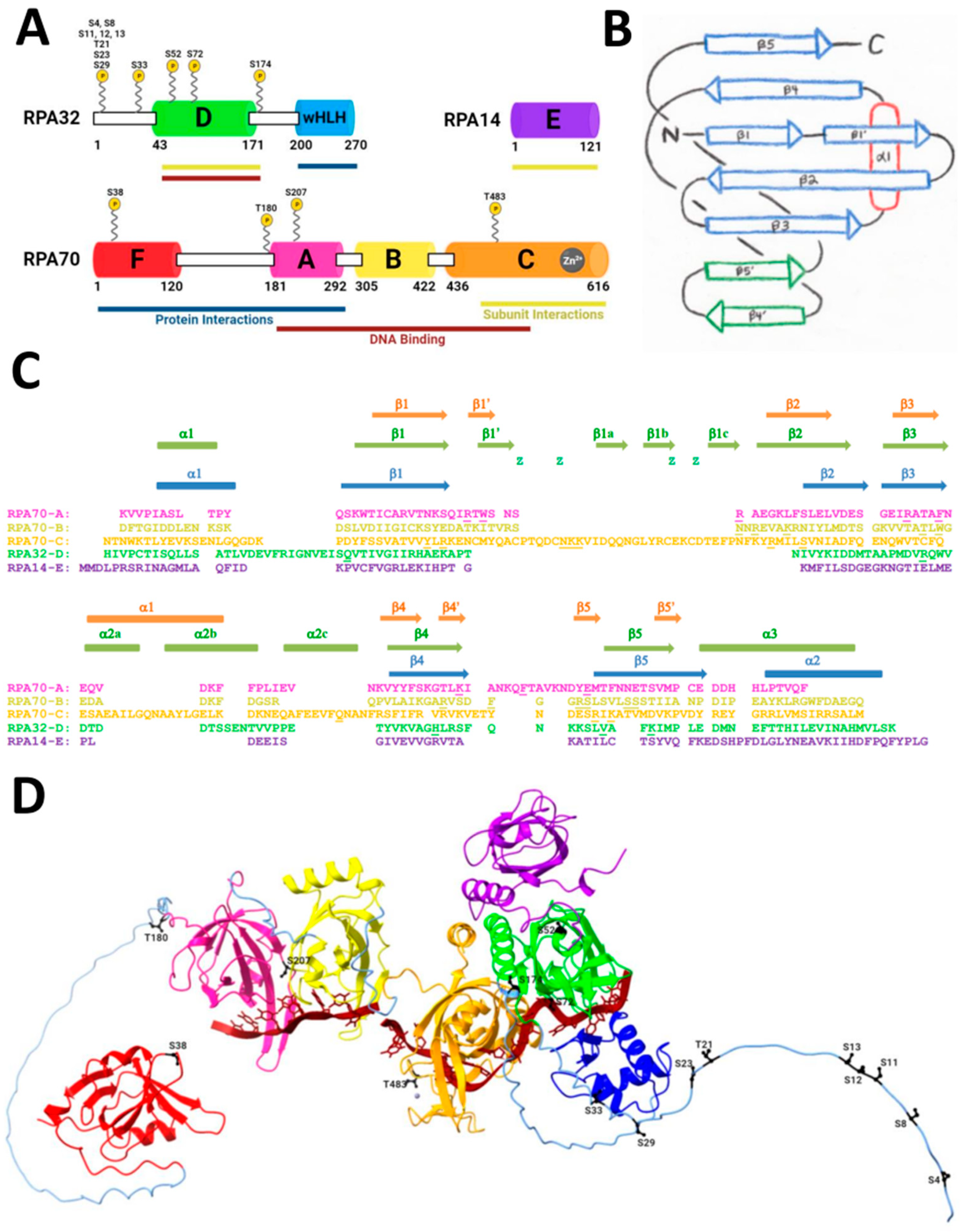 Genes 15 00167 g001 Genes 15 00167 g001