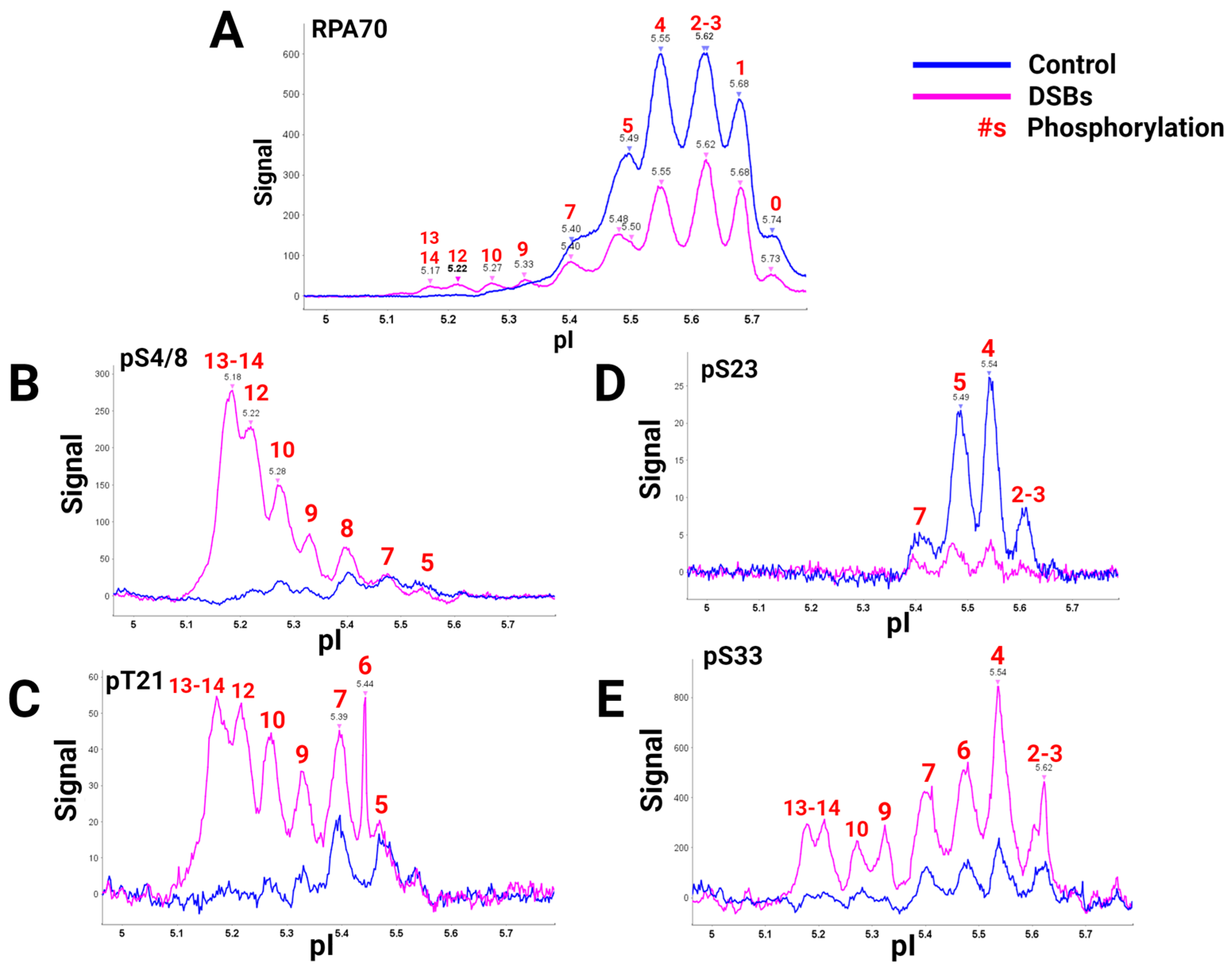 Genes 15 00167 g002 Genes 15 00167 g002