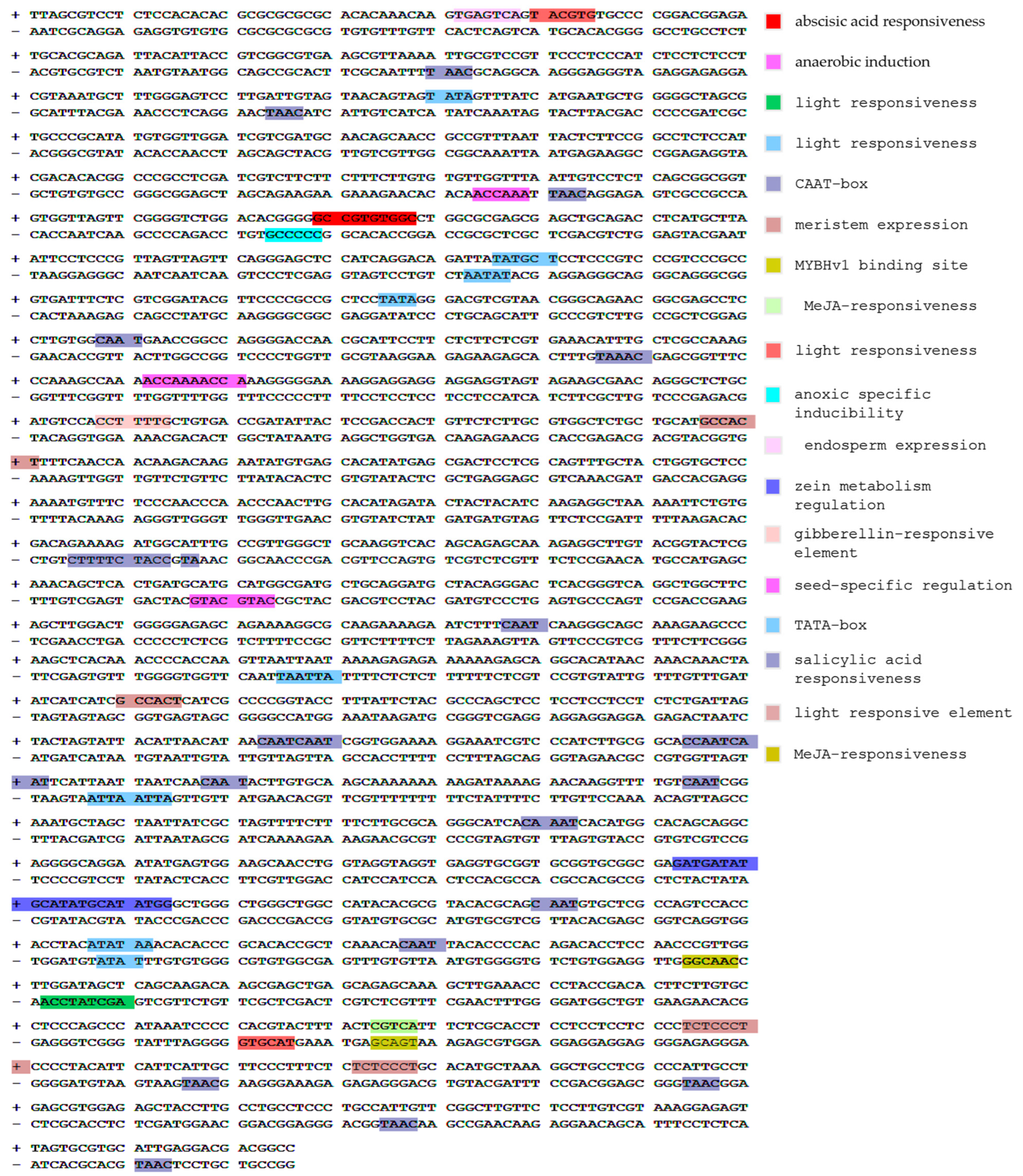 Genes 15 00168 g005