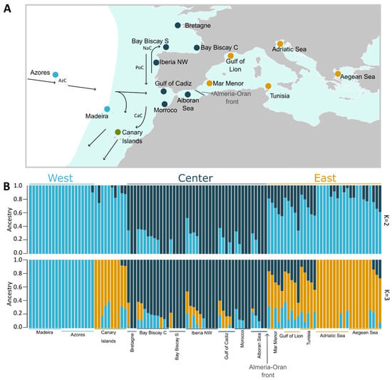 Genes 15 00170 g001