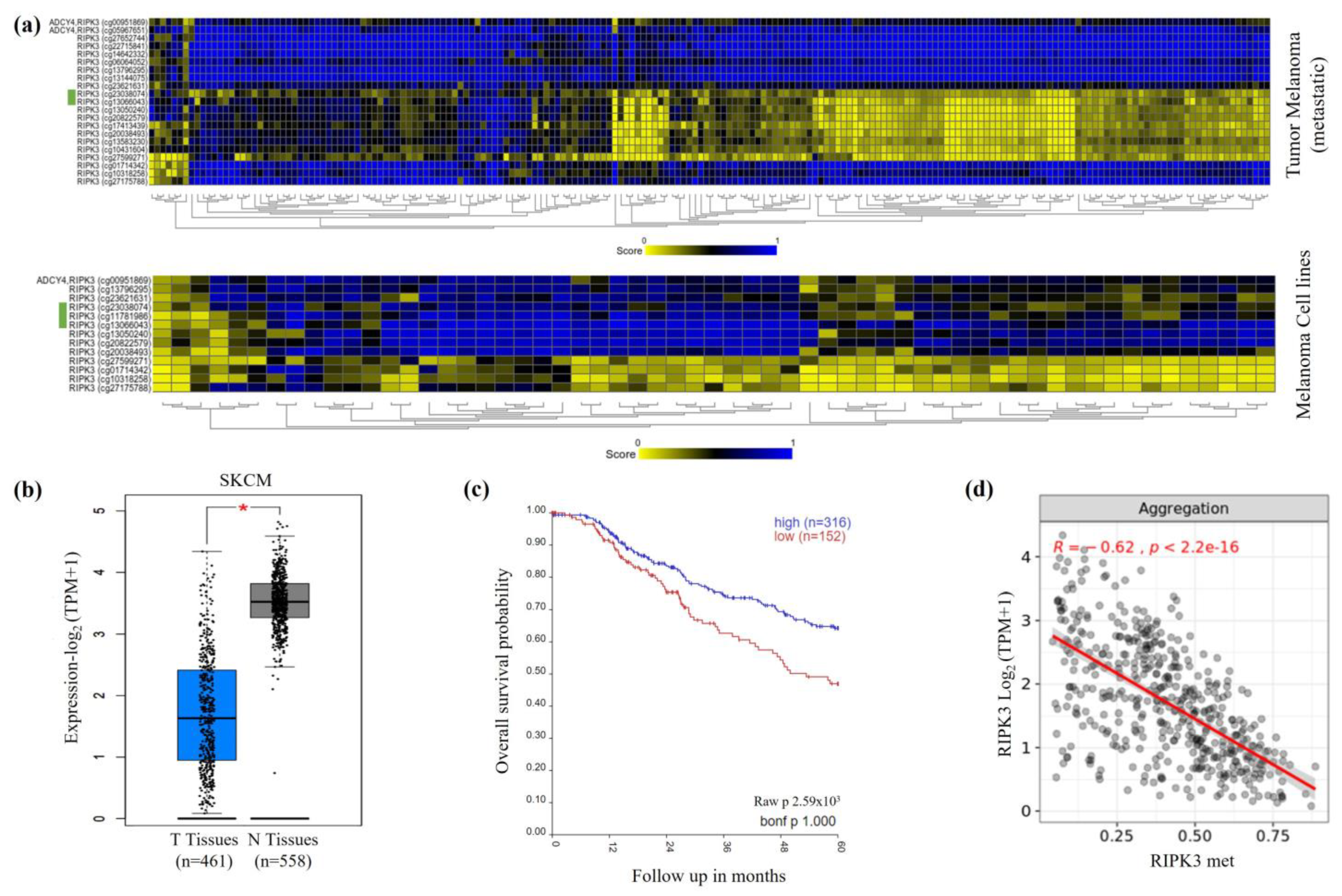 Genes 15 00175 g001 Genes 15 00175 g001