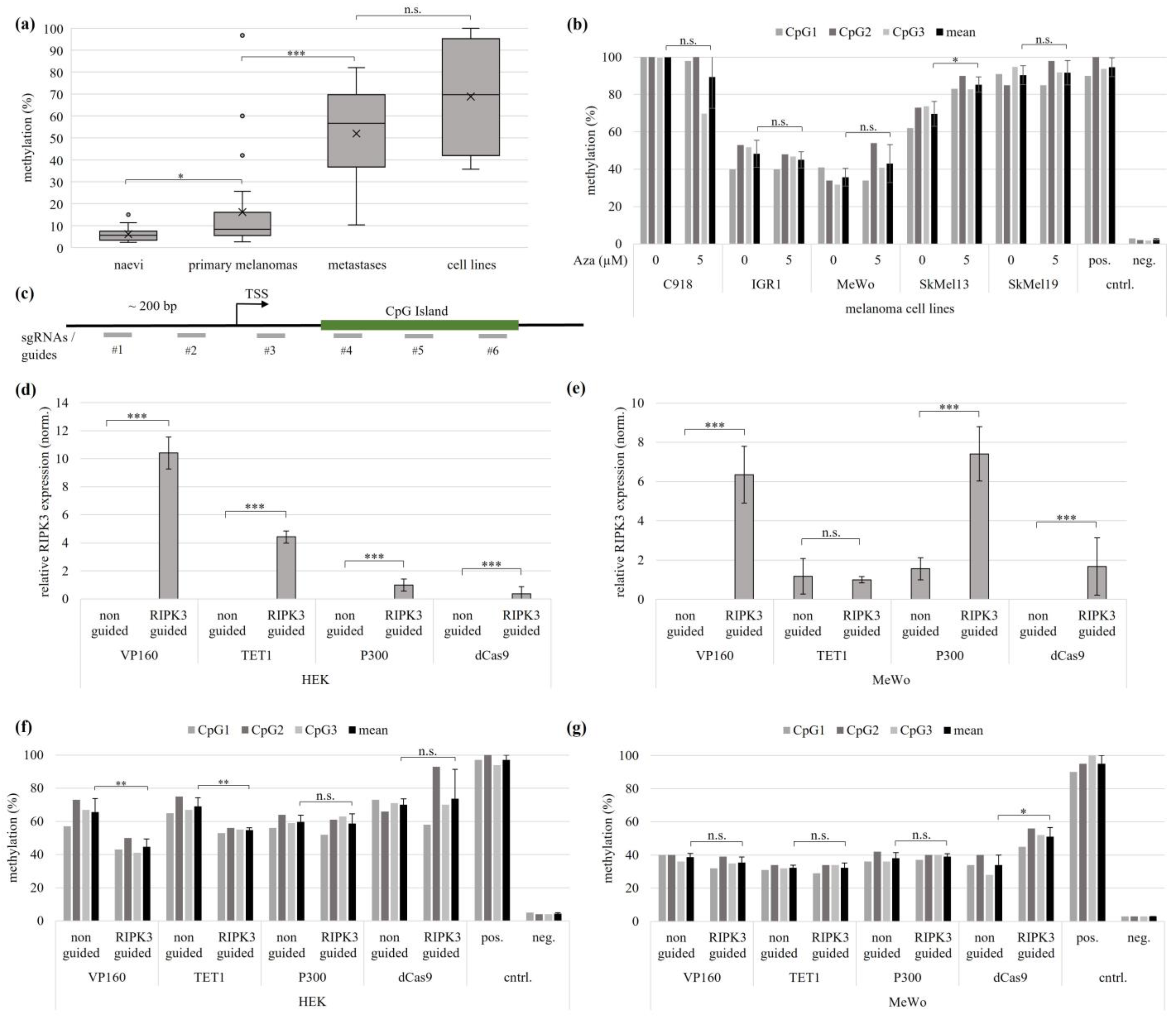 Genes 15 00175 g002 Genes 15 00175 g002