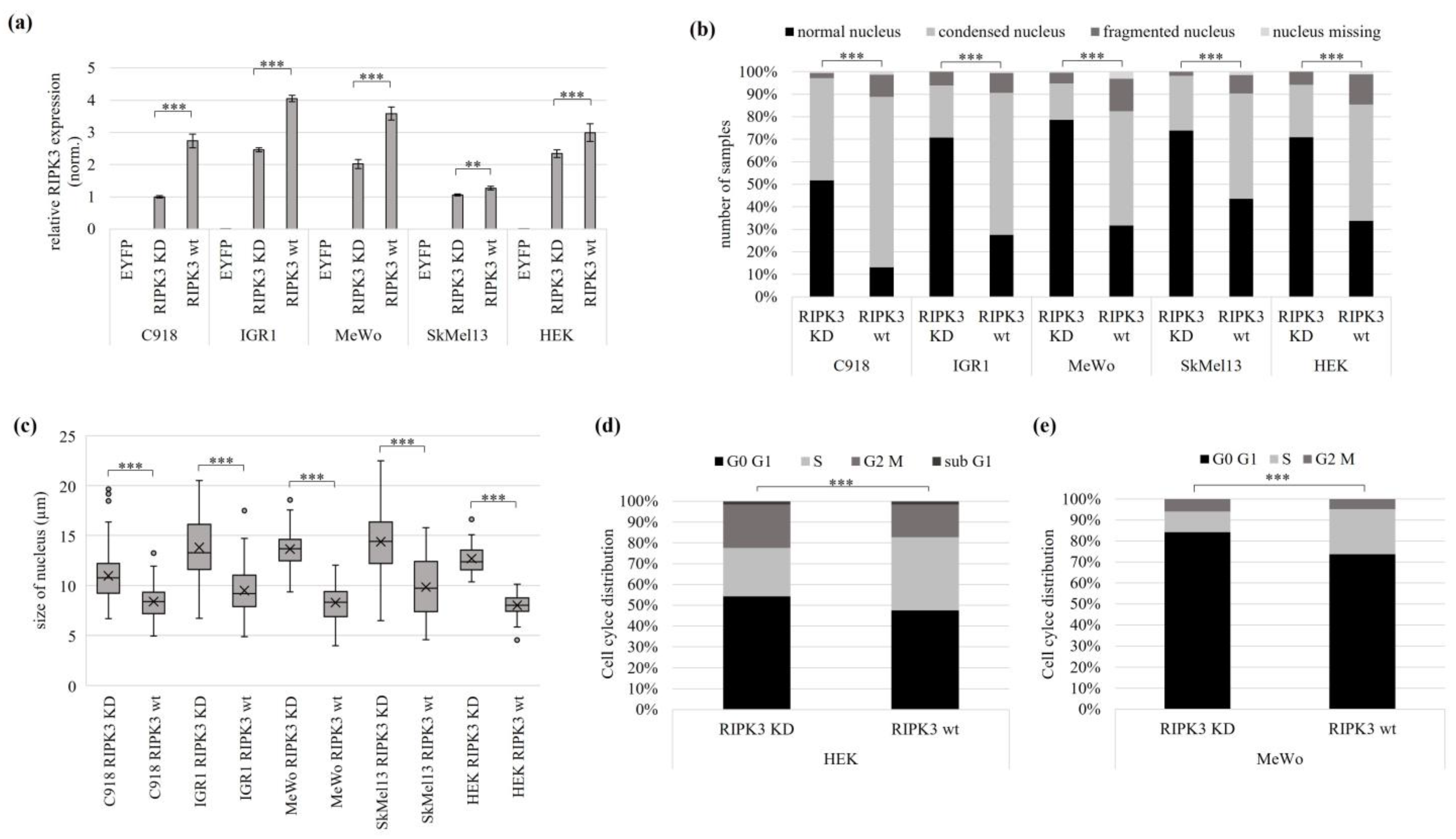 Genes 15 00175 g003 Genes 15 00175 g003
