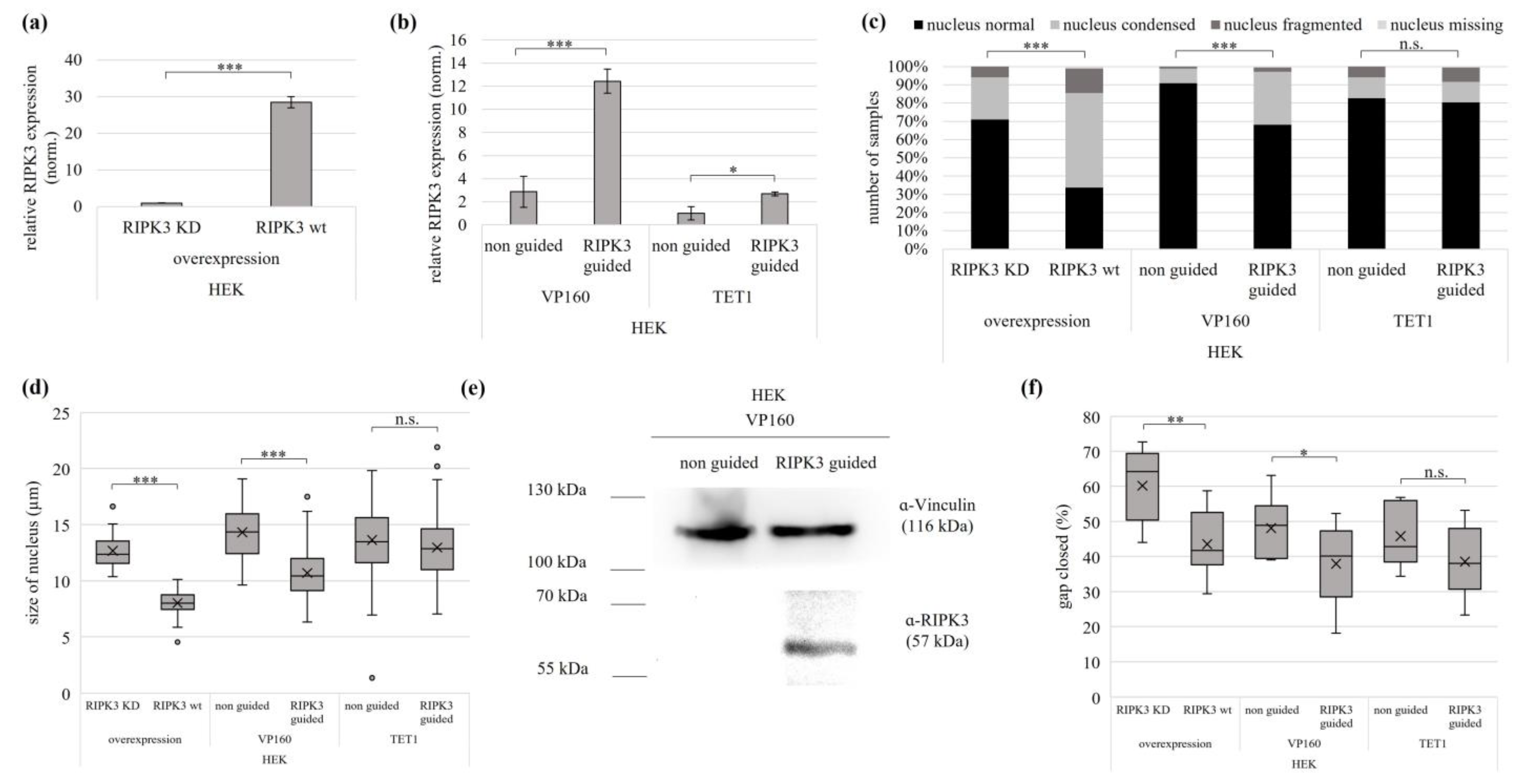 Genes 15 00175 g004 Genes 15 00175 g004