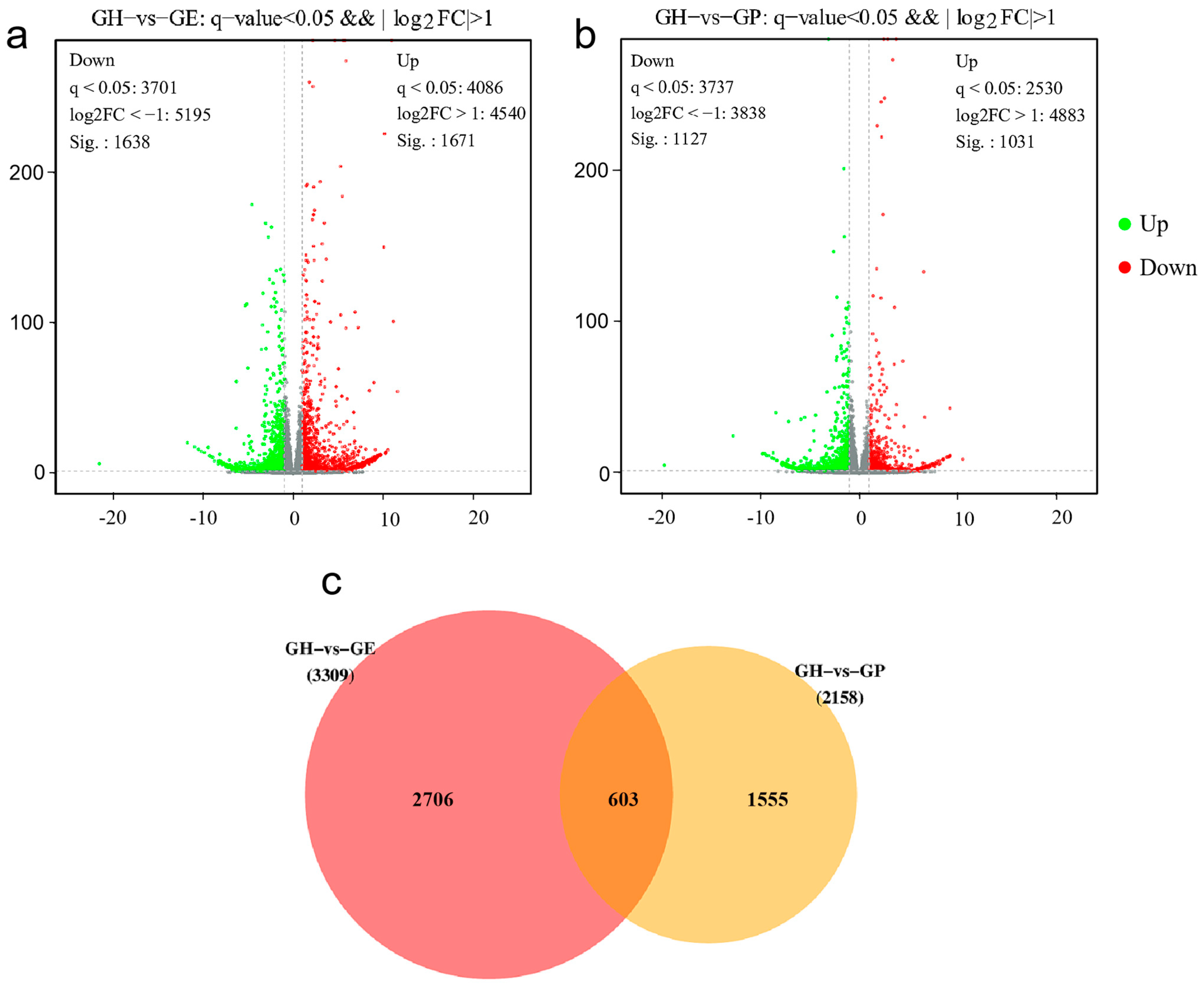Genes 15 00182 g002 Genes 15 00182 g002