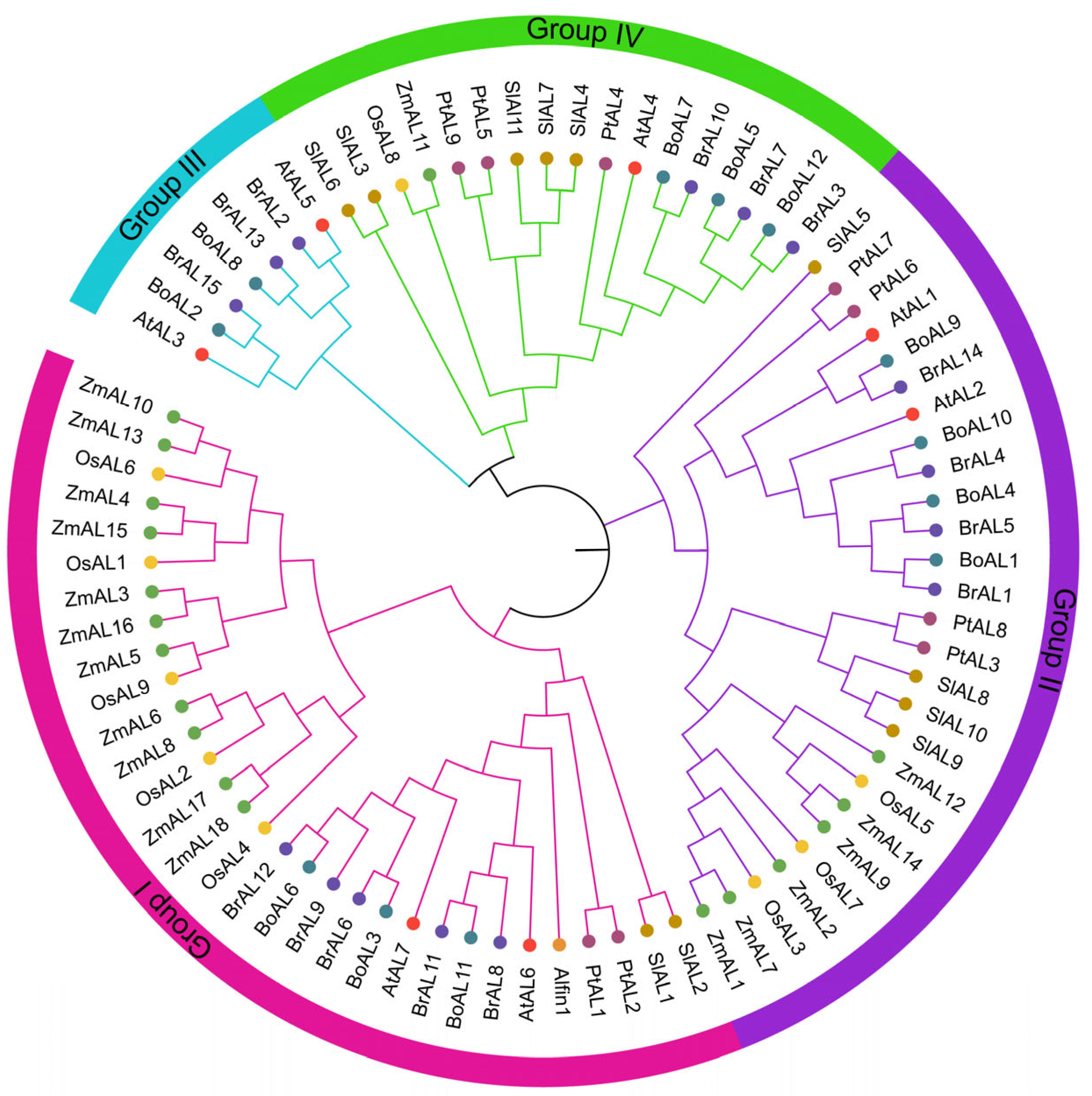 Genes 15 00184 g001