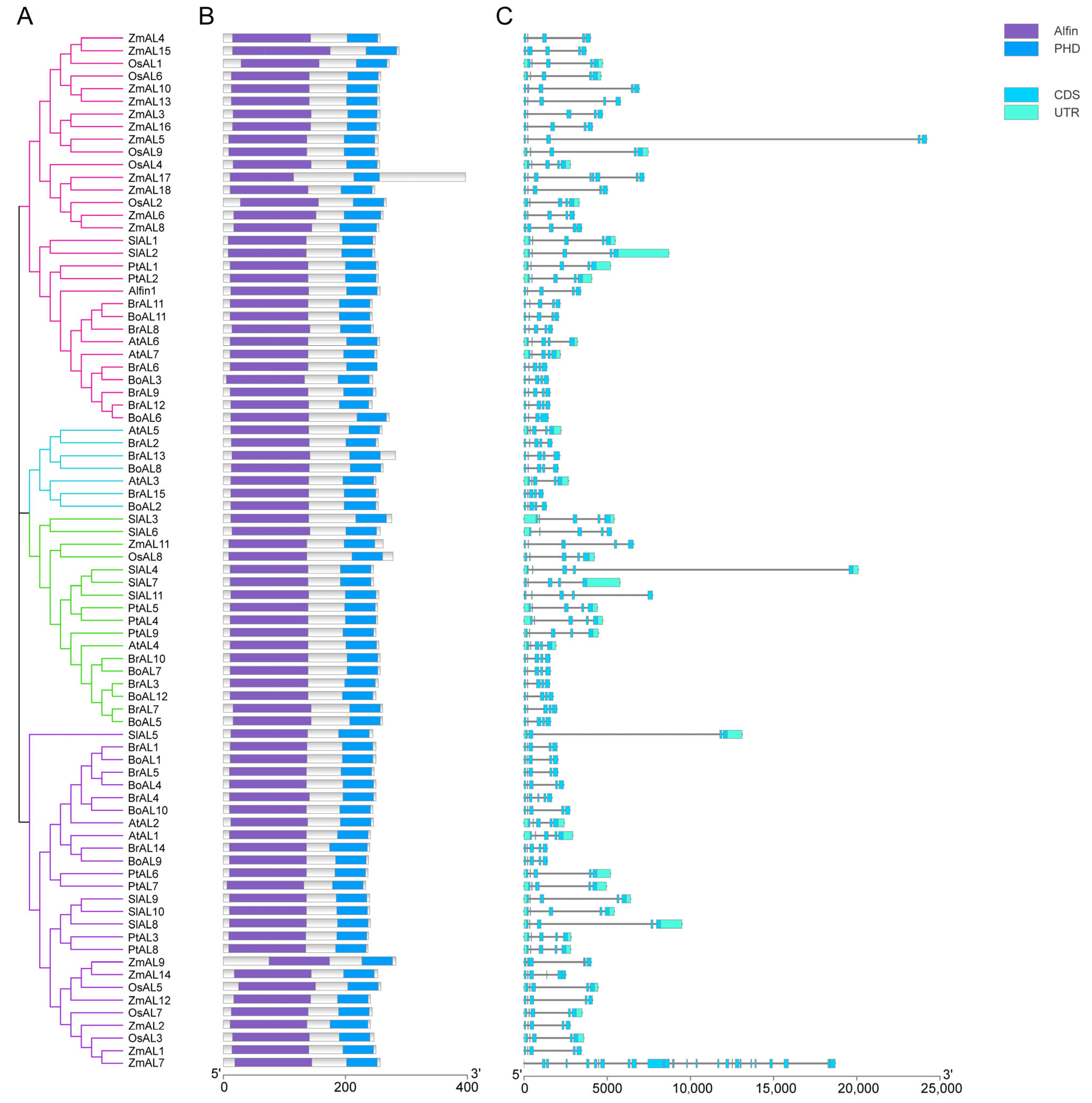 Genes 15 00184 g002