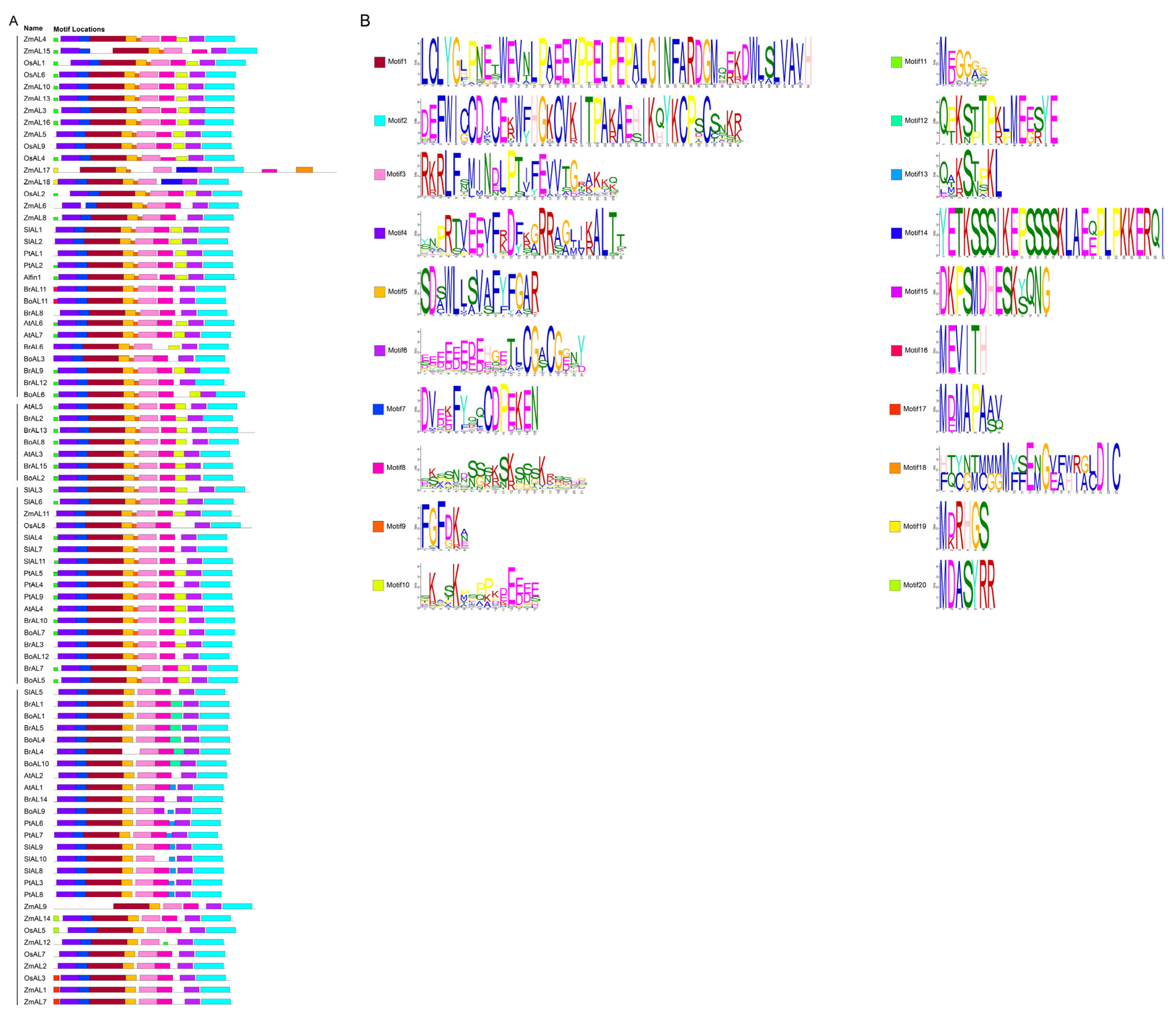 Genes 15 00184 g003