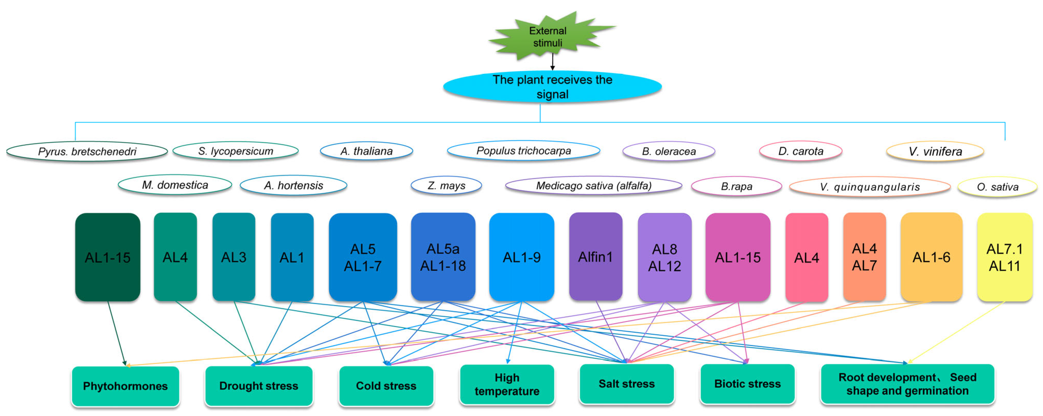 Genes 15 00184 g004