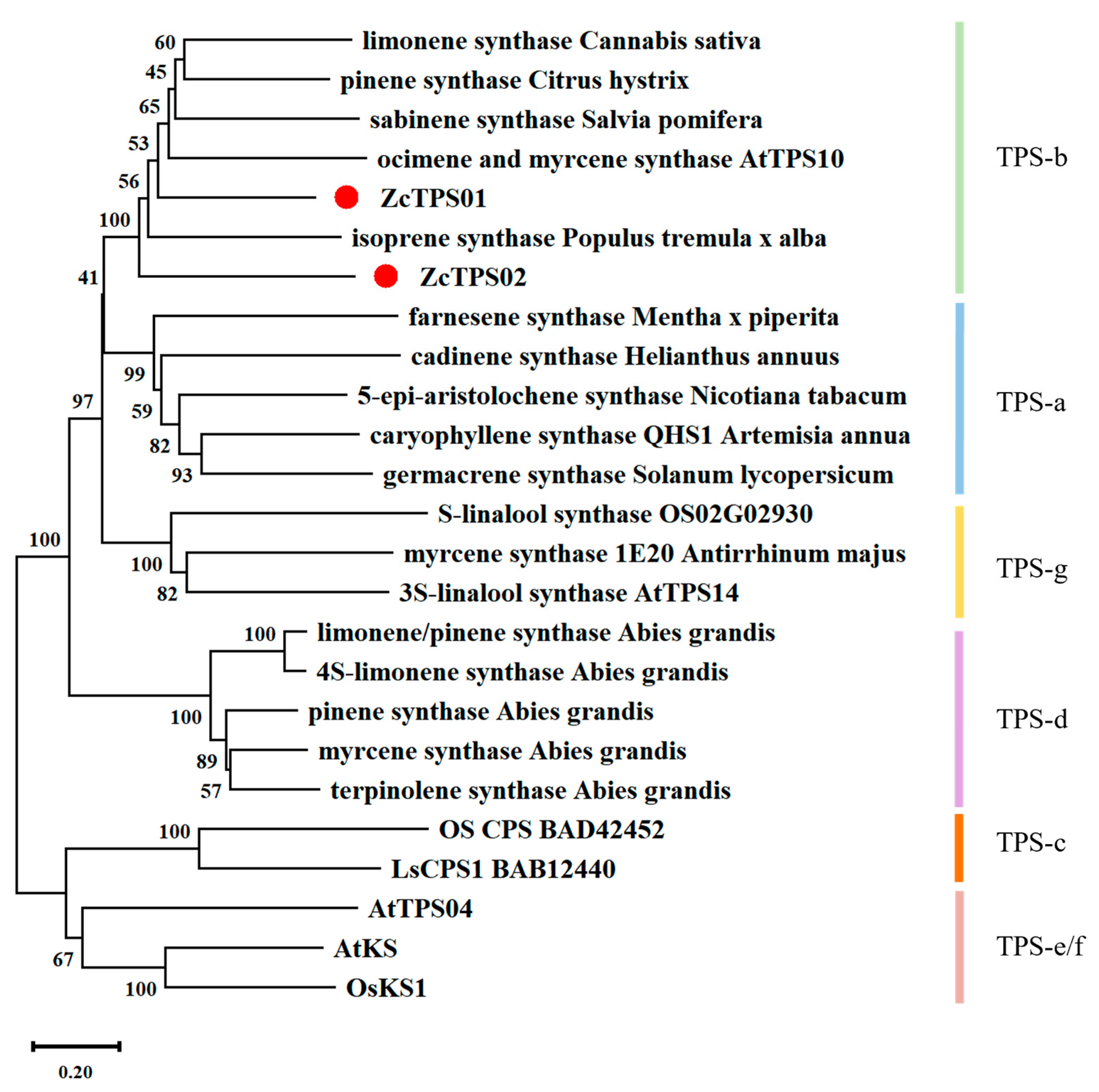Genes 15 00185 g002