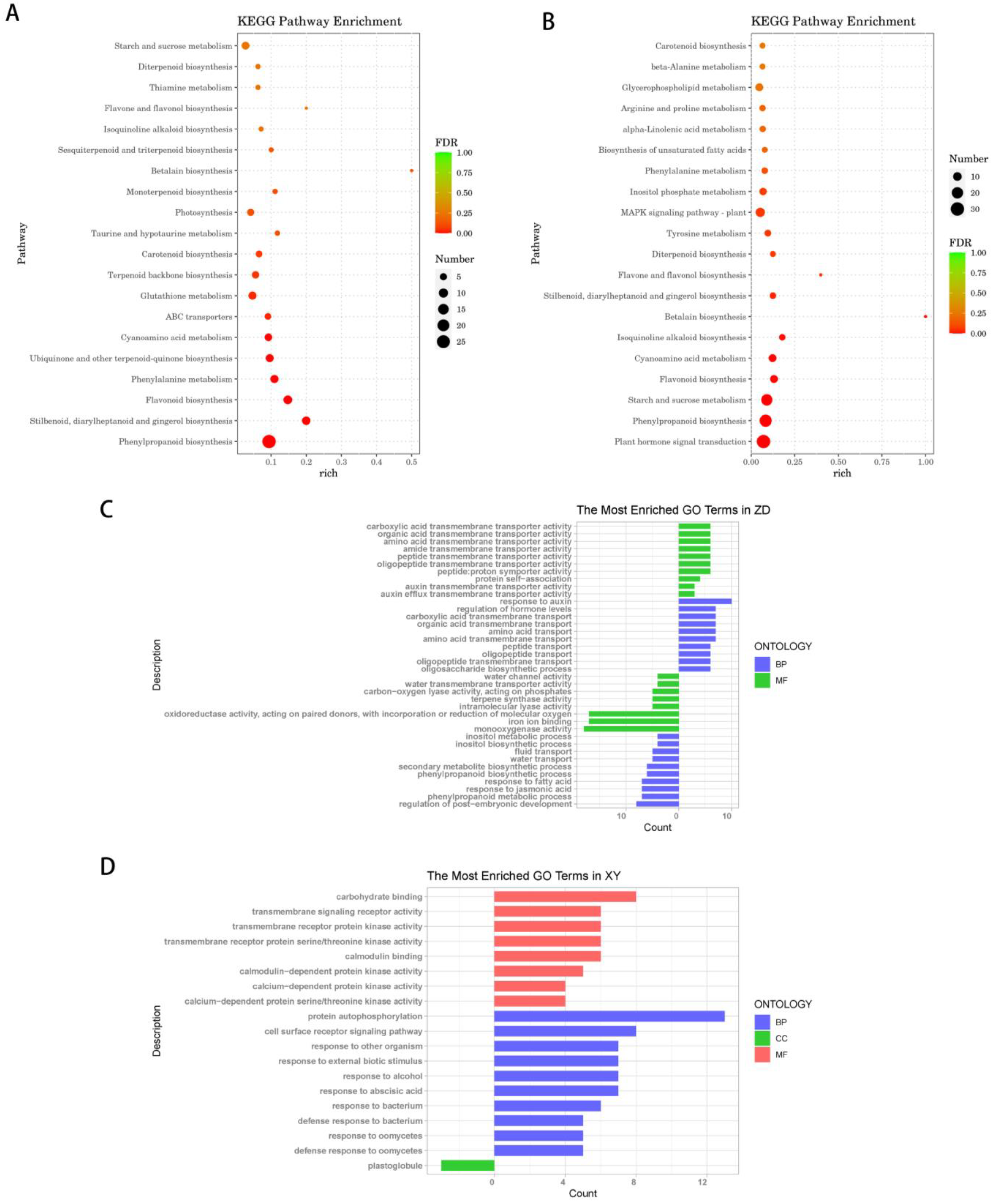 Genes 15 00189 g004